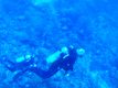 Diving for turtle specialty