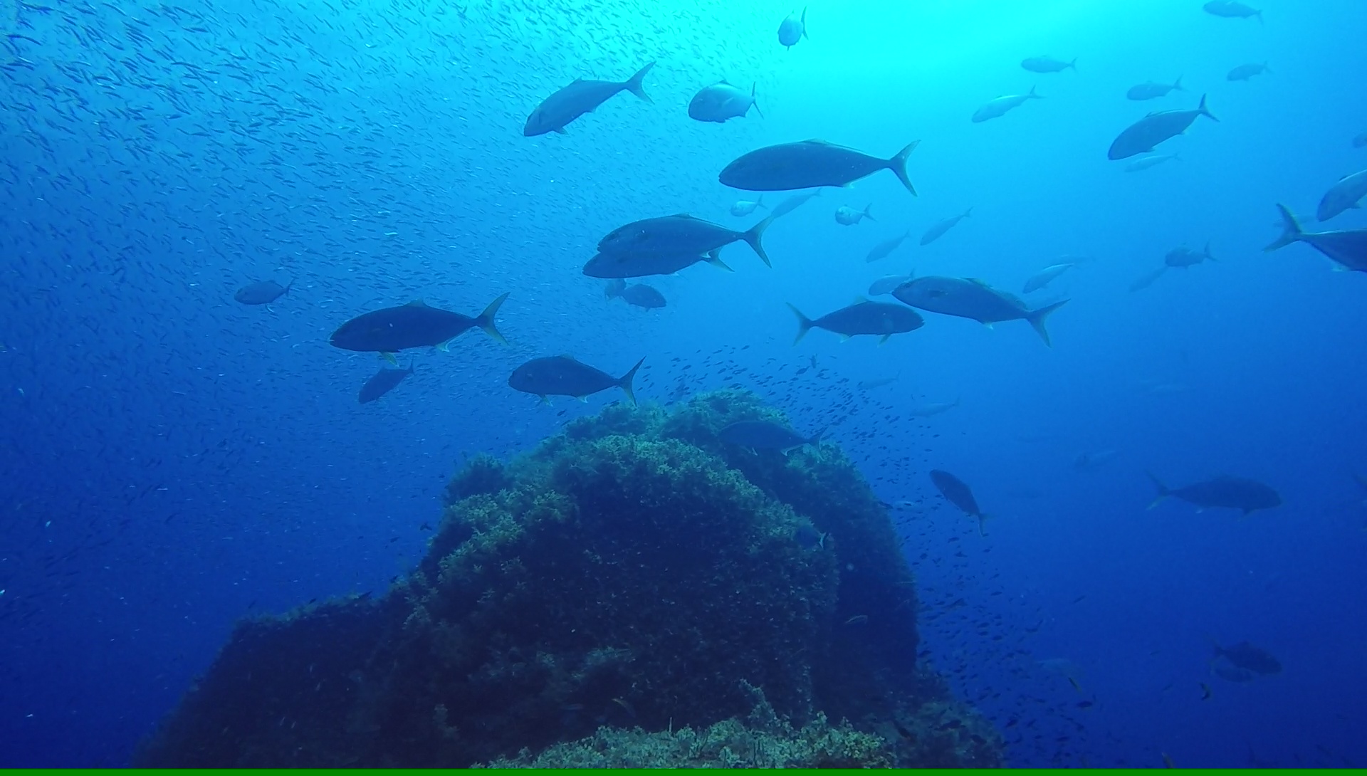 secca-del-papa-dive-site-padi