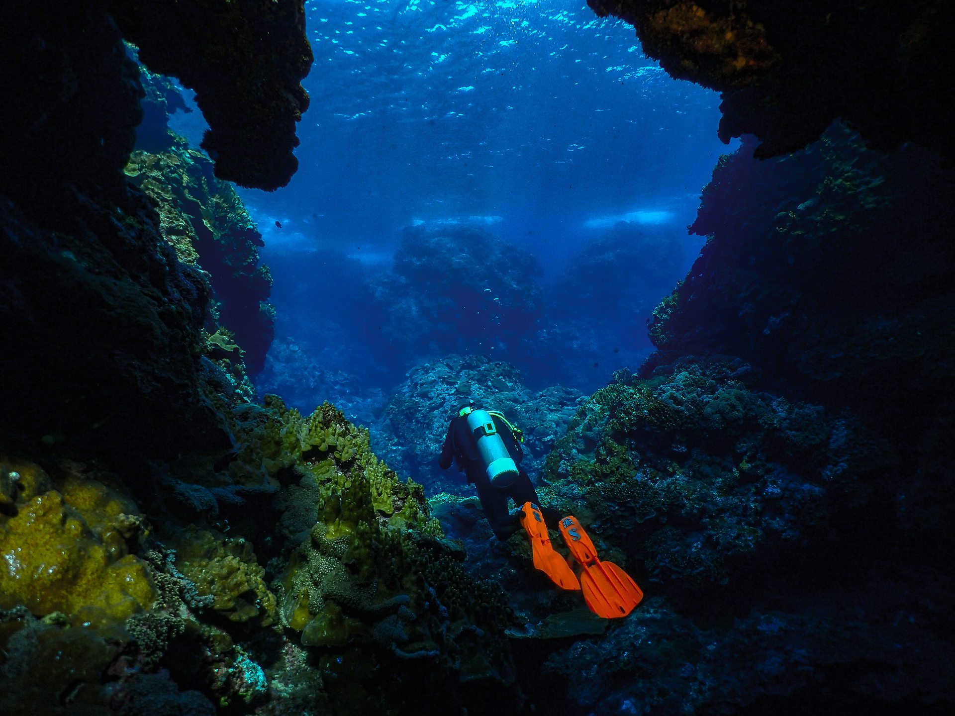 Dive site photo