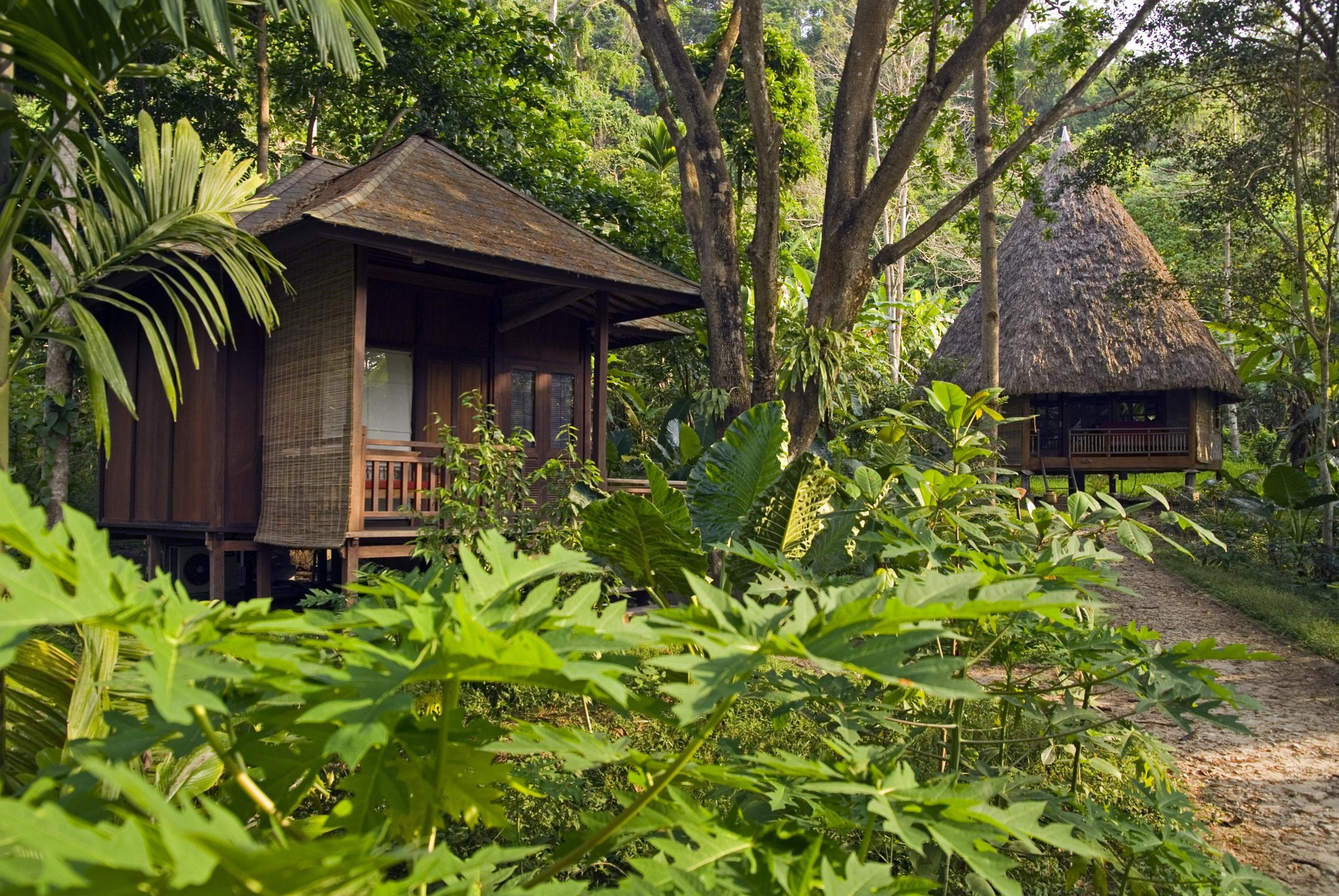 【1ペア】ローディファー（アンダマン島） Annie Floral Ombre Print Maxi