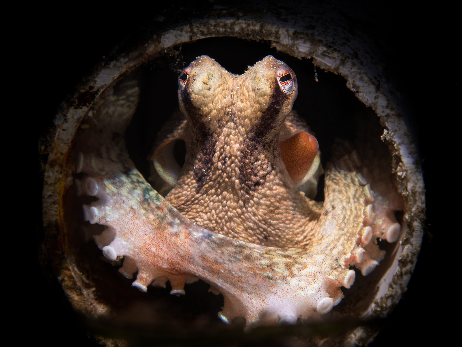 Dive site photo