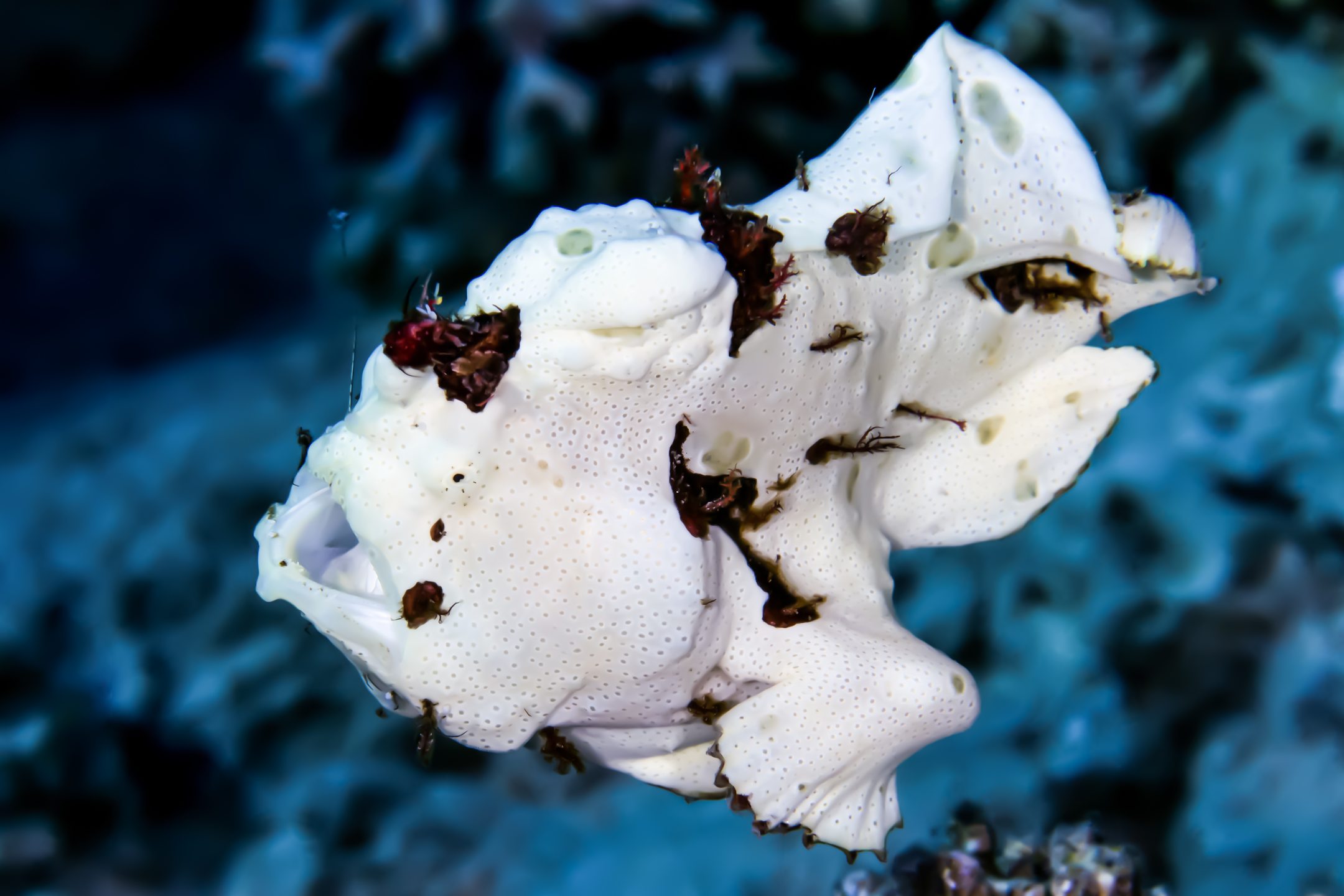 Dive site photo