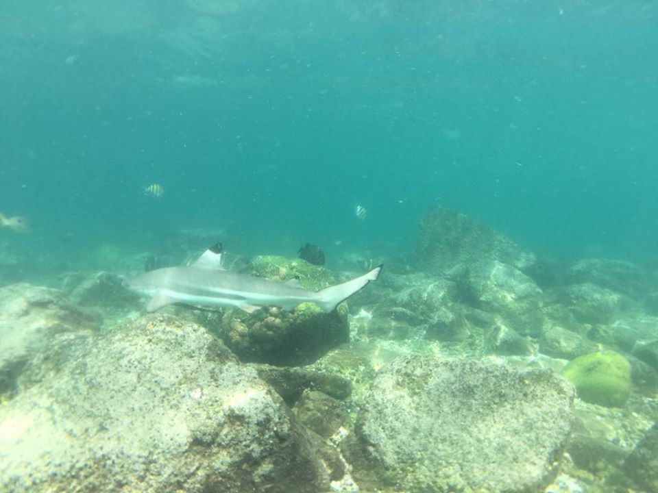 Dive site photo