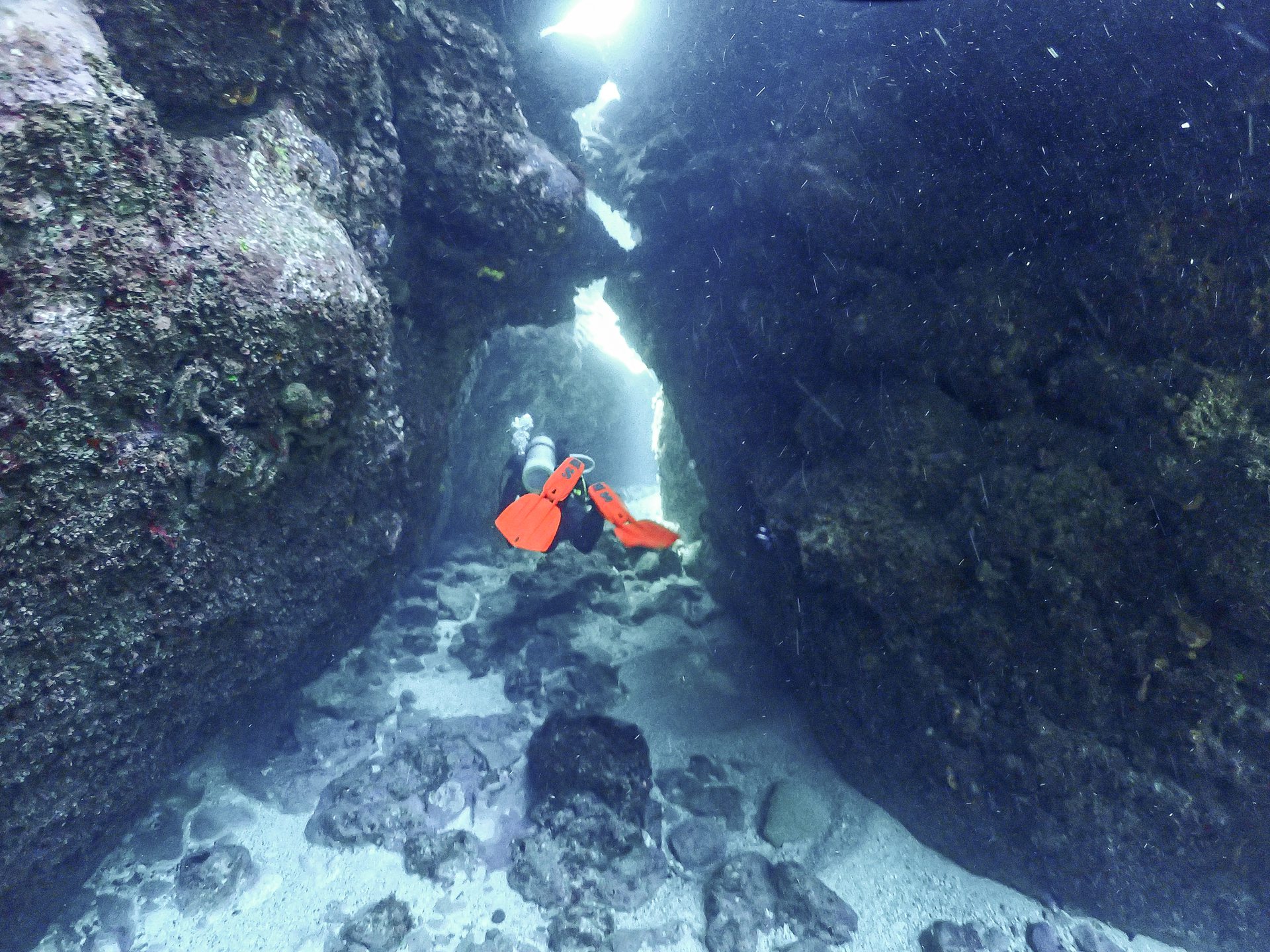 Dive site photo