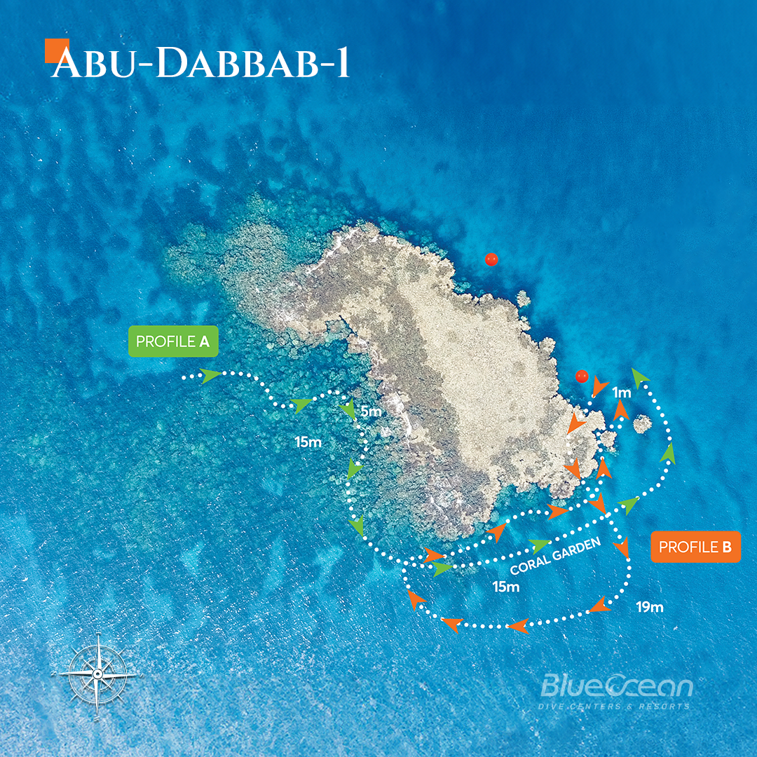 Abu Dabbab 1 Dive Site