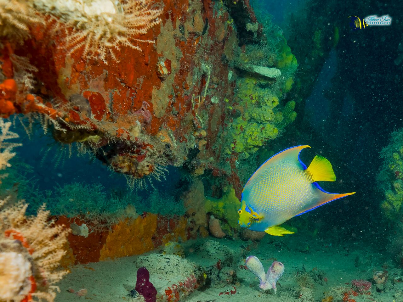Dive site photo
