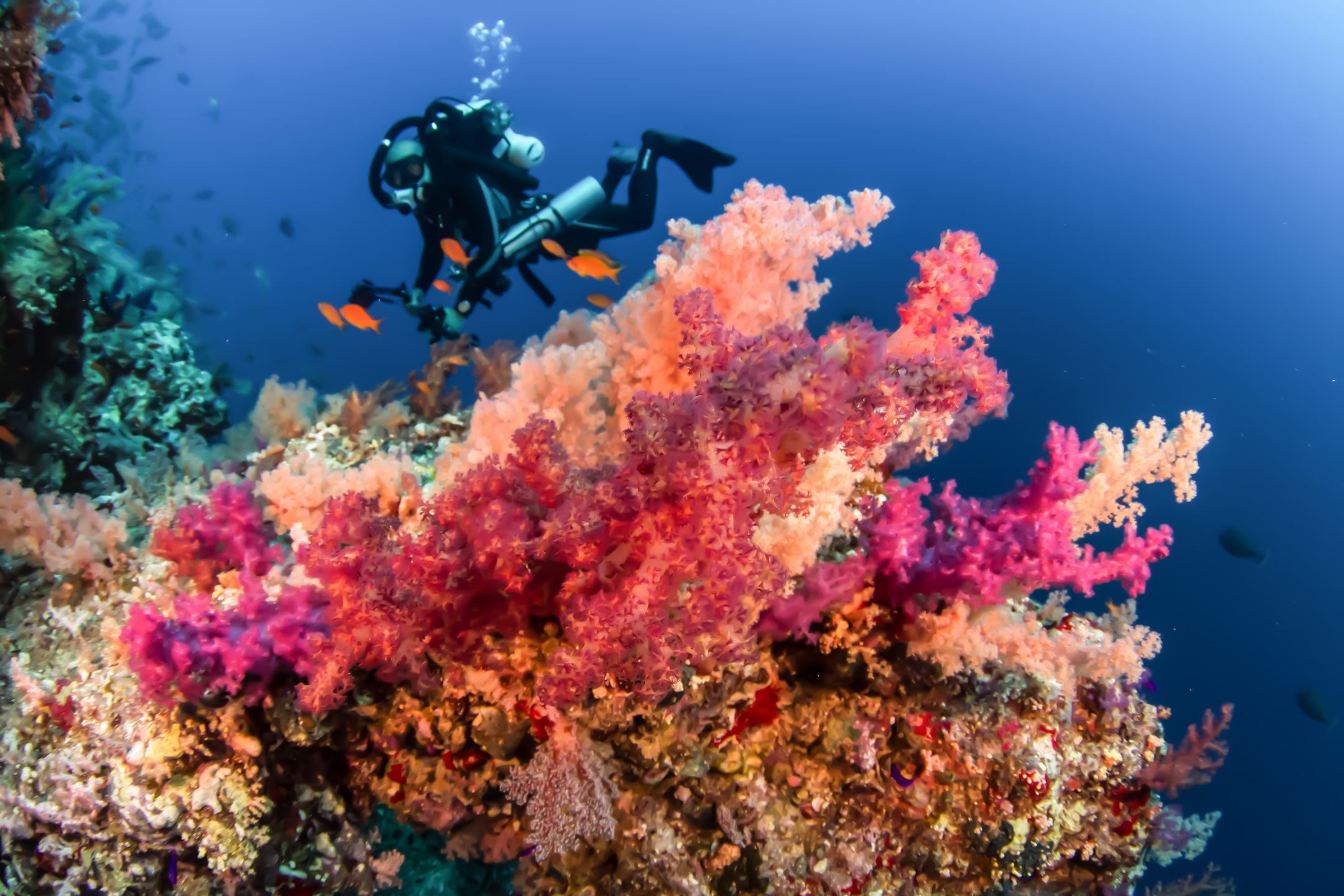 Dive site photo