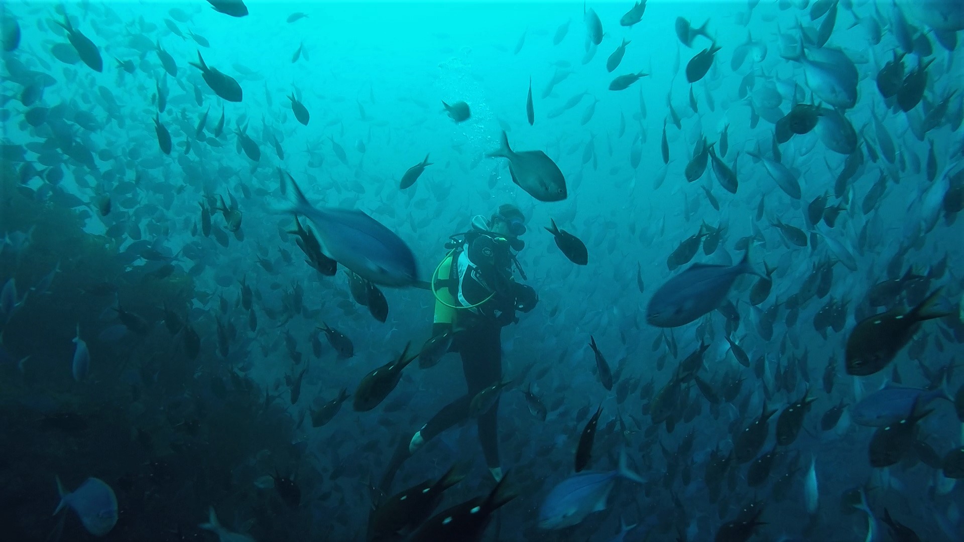Dive site photo