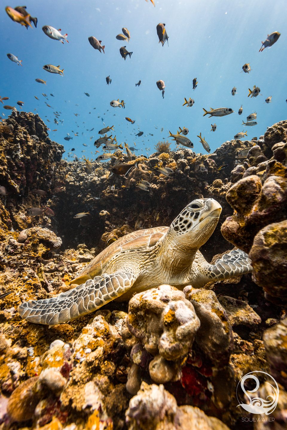 Dive site photo