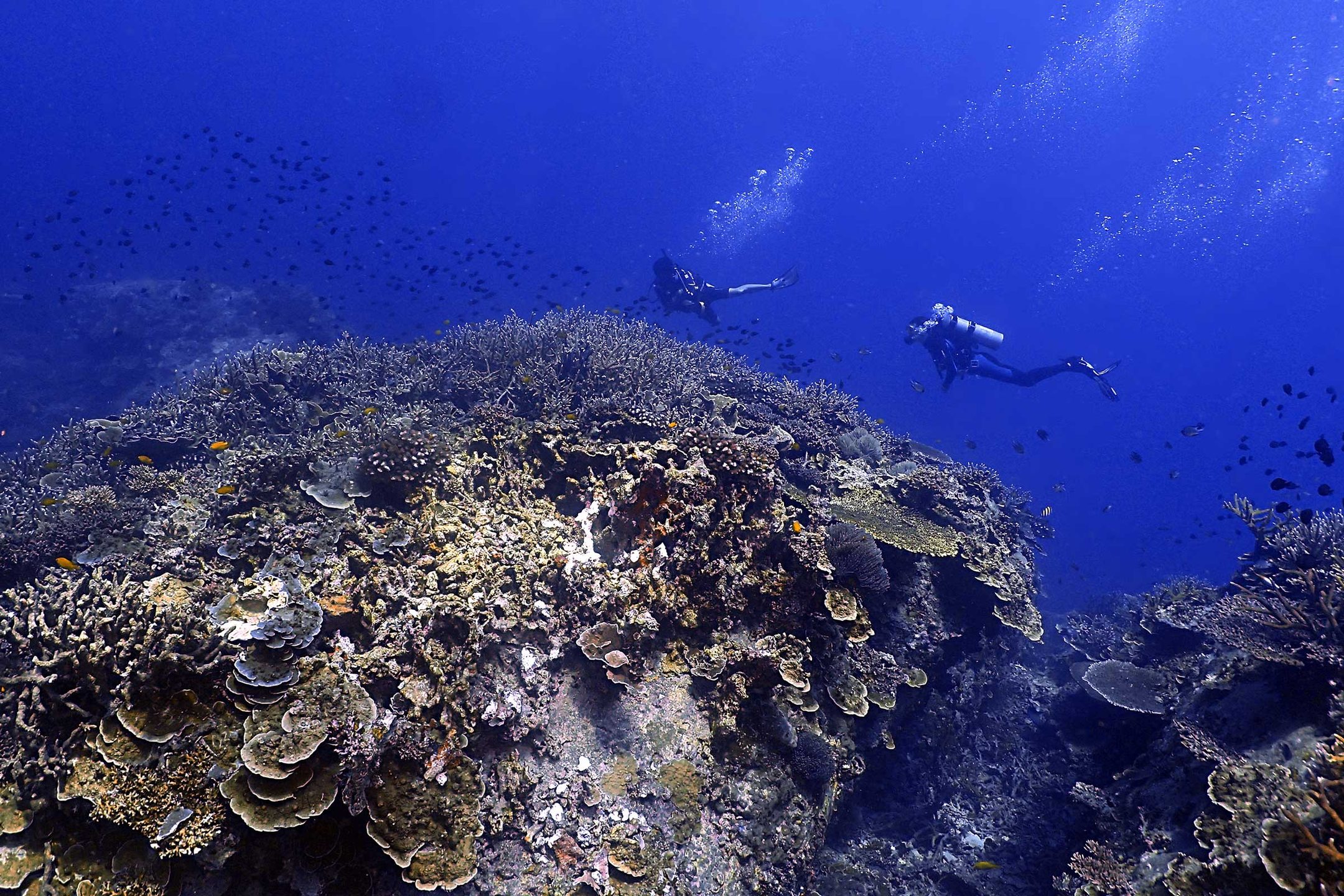 Dive site photo