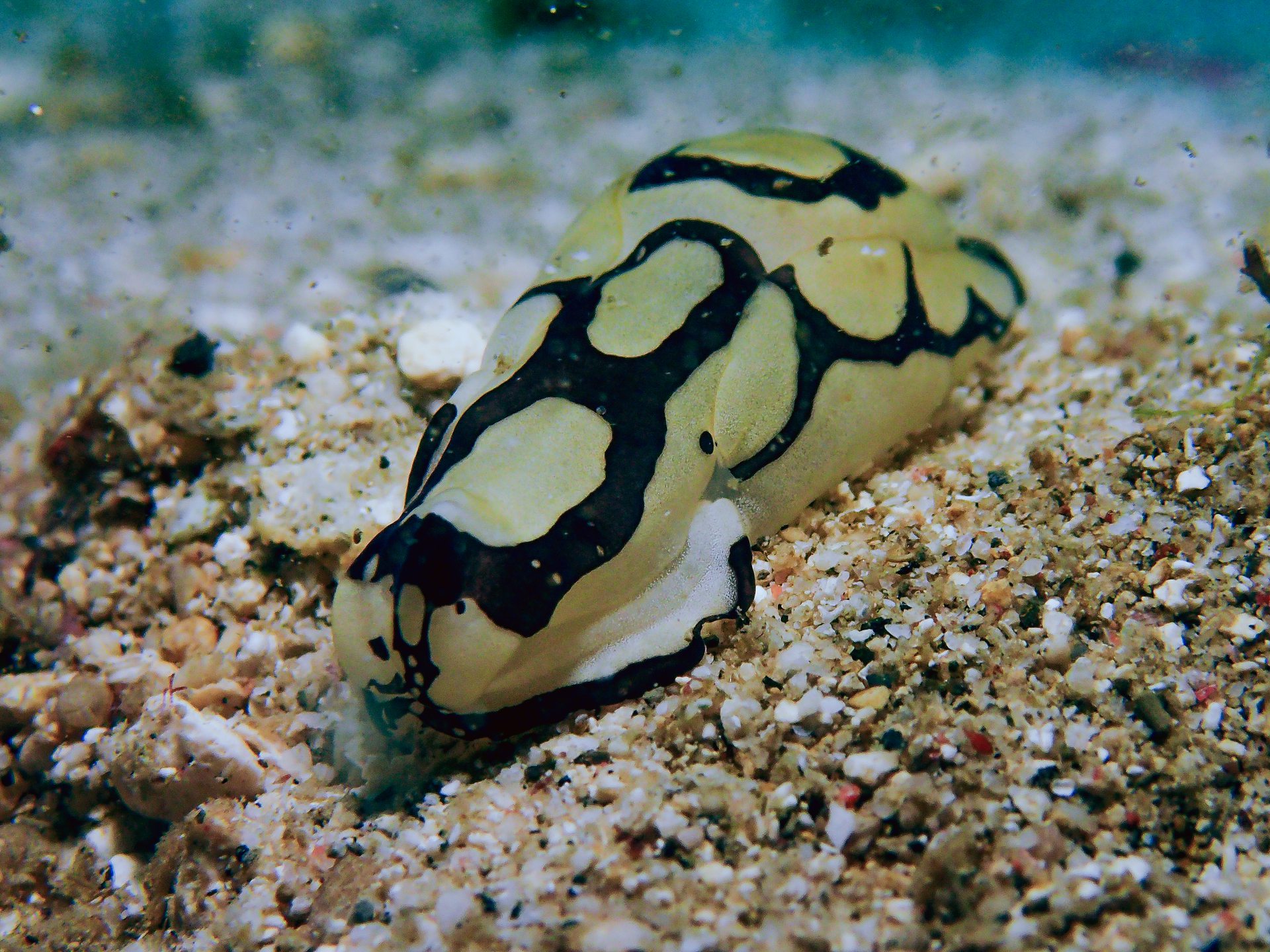 Dive site photo