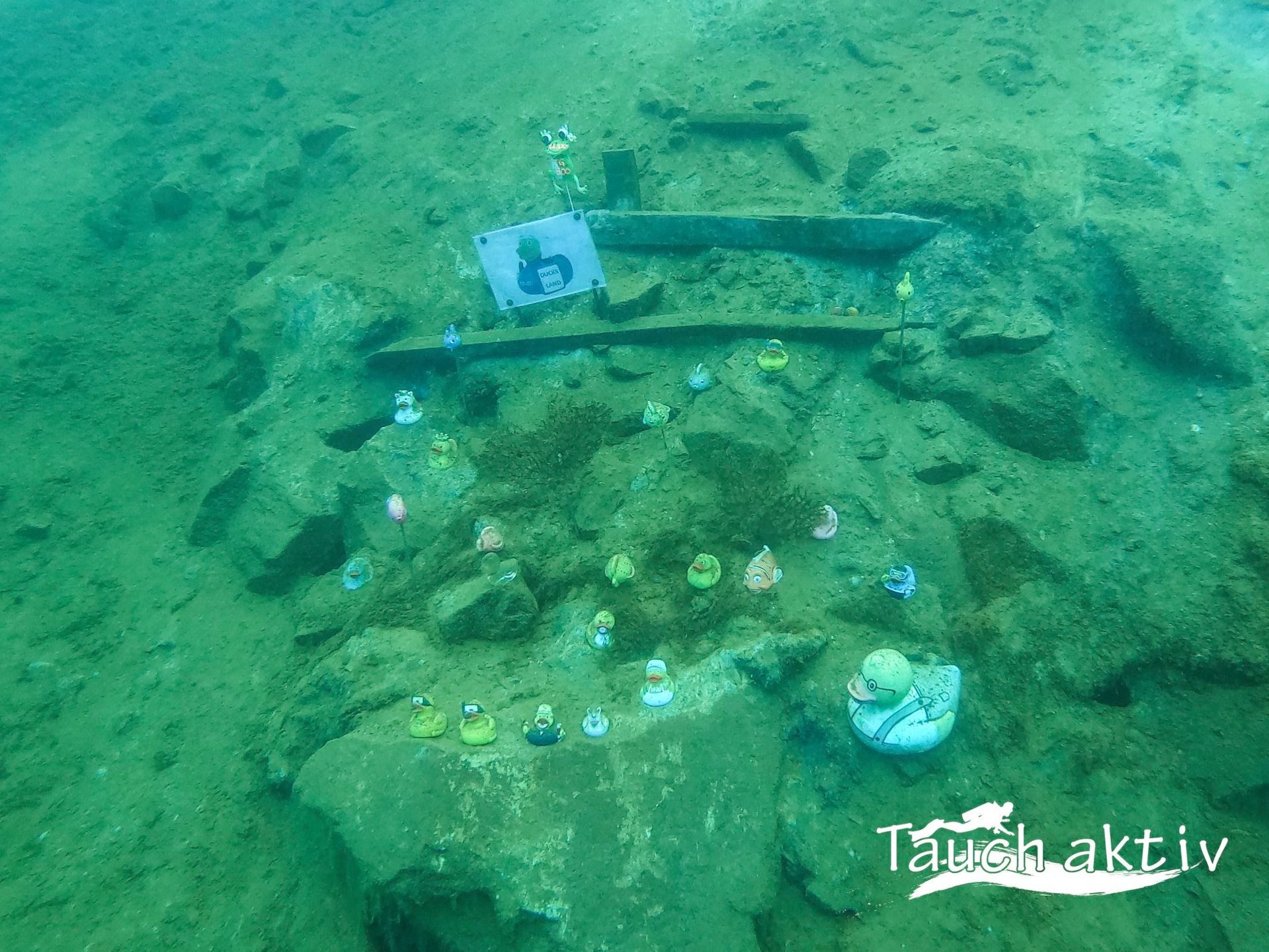 Dive site photo