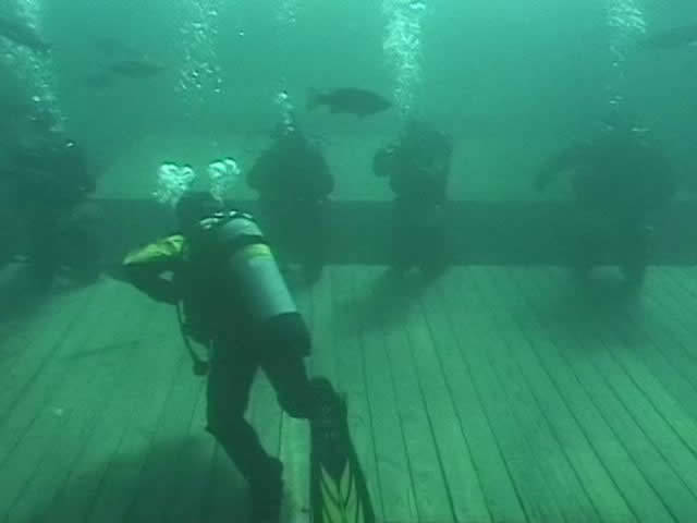 Dive site photo