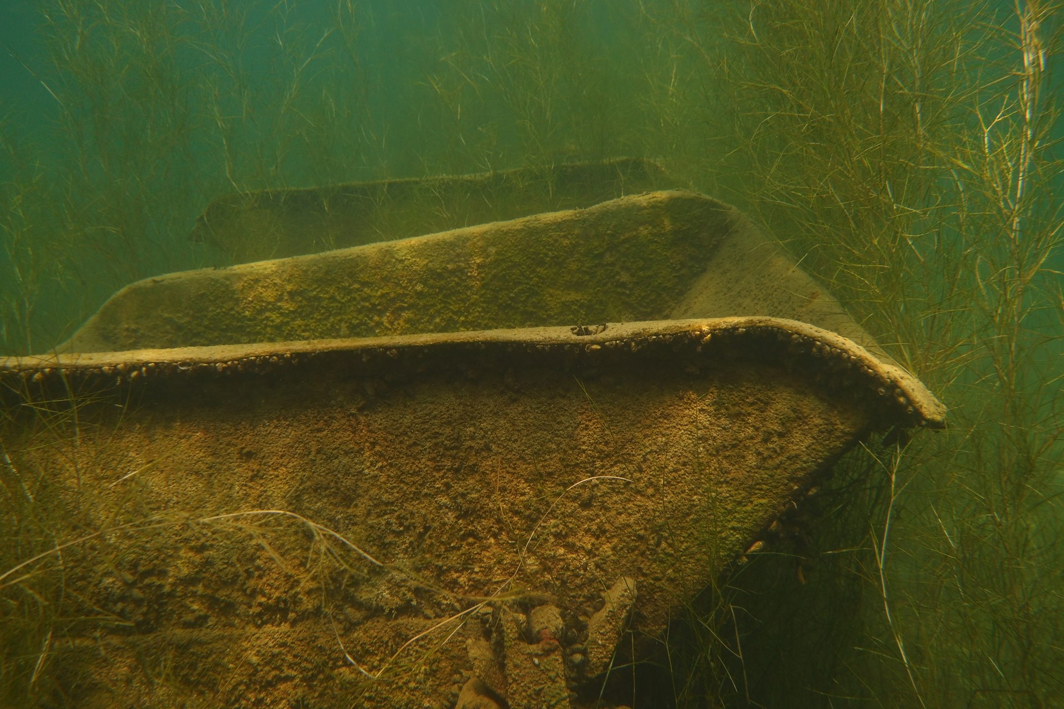 Dive site photo
