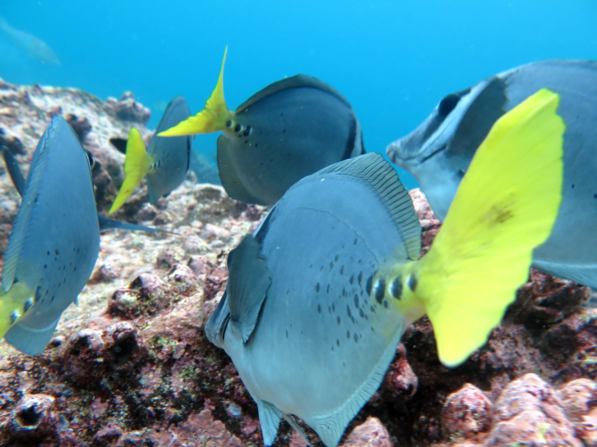 Dive site photo