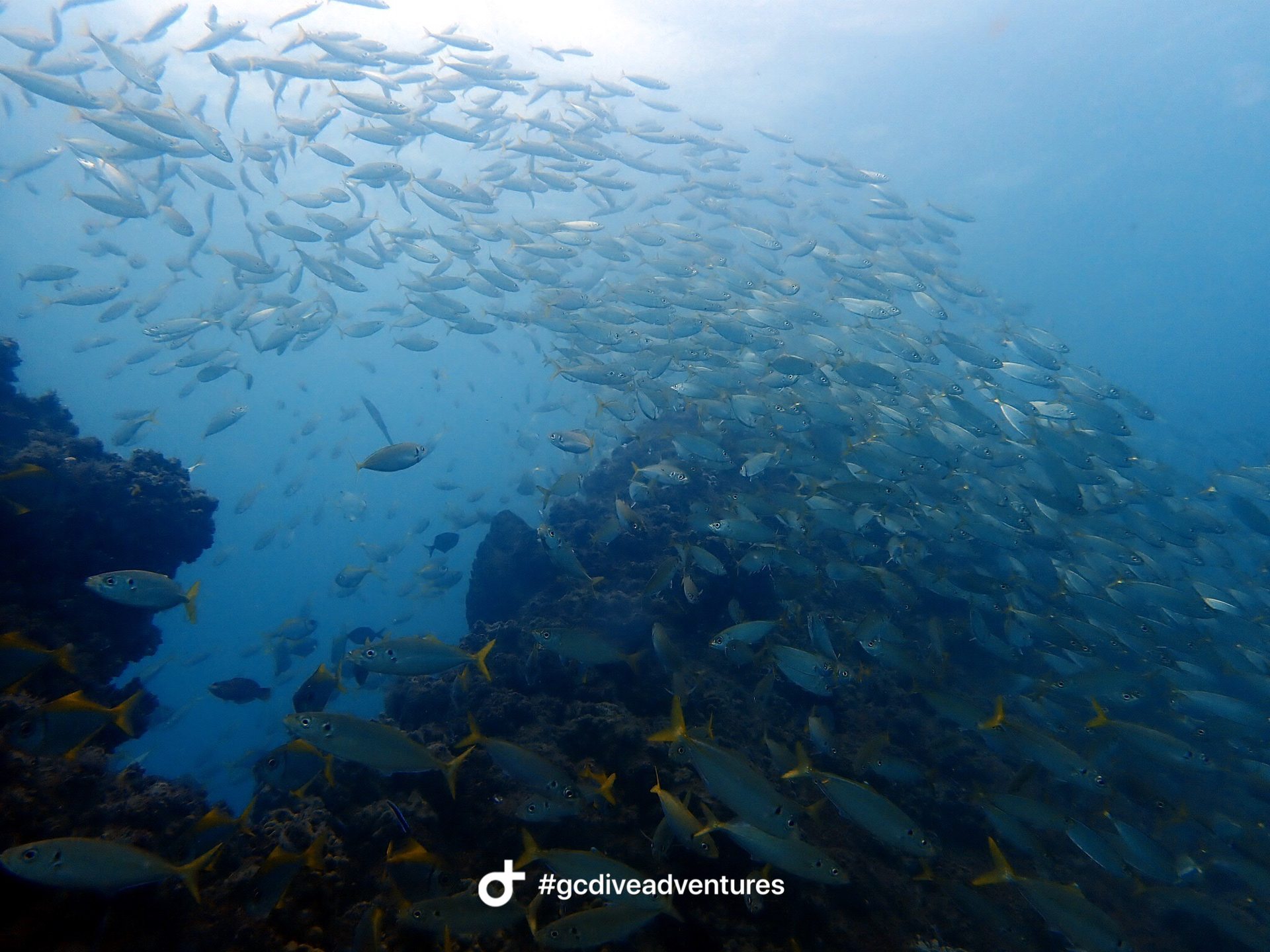 Dive site photo