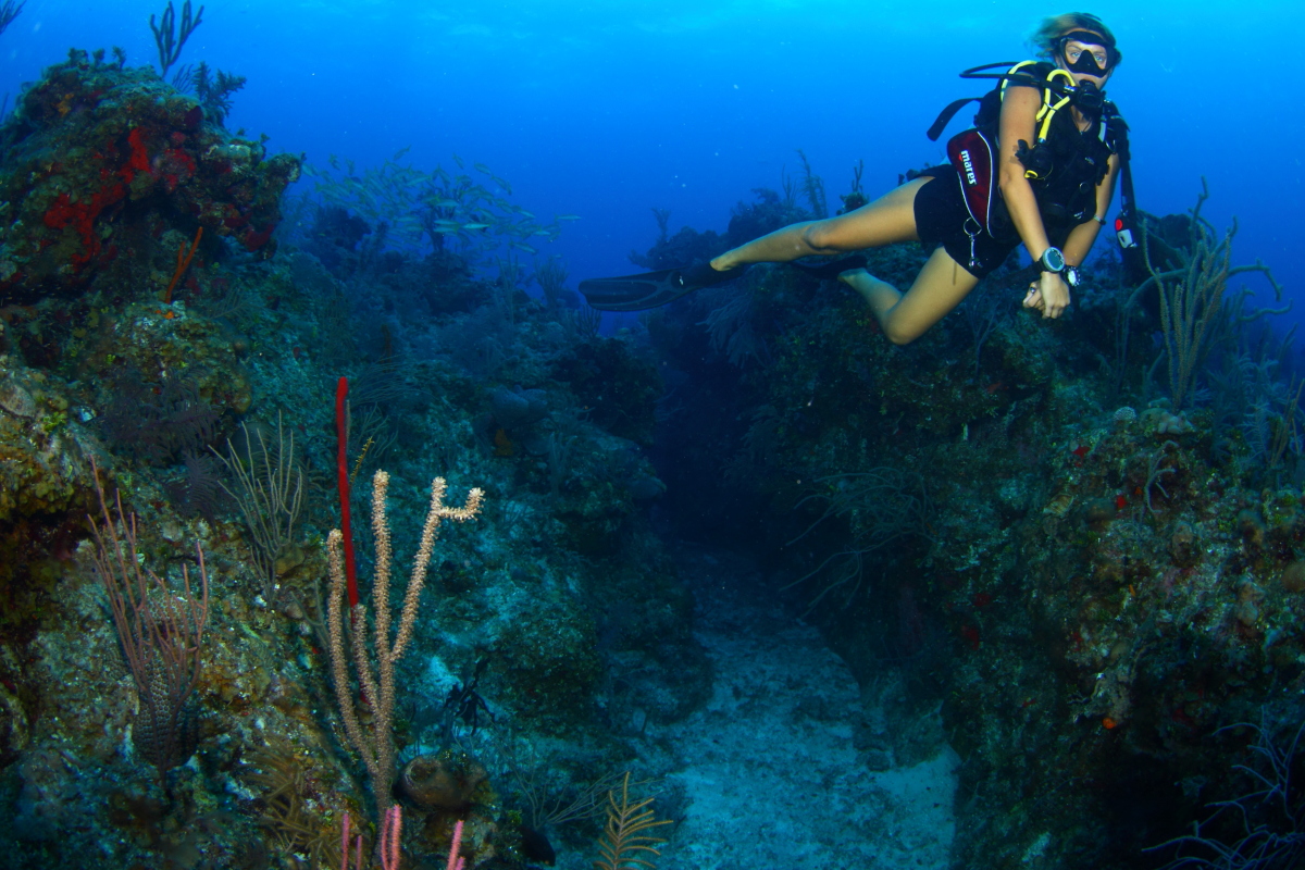 Dive site photo