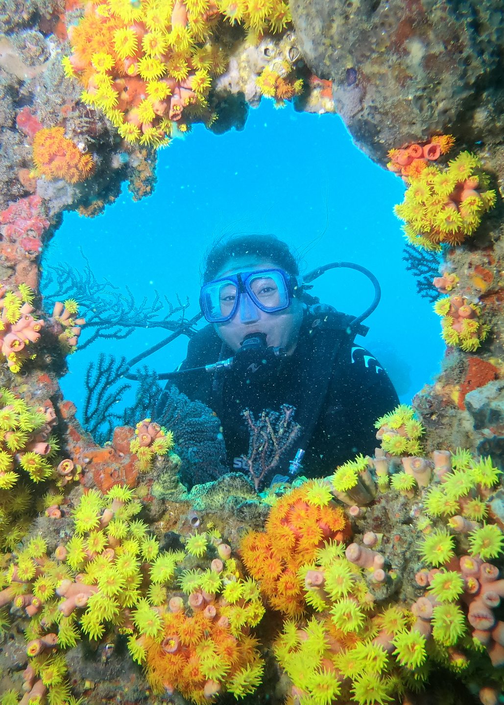 Dive site photo