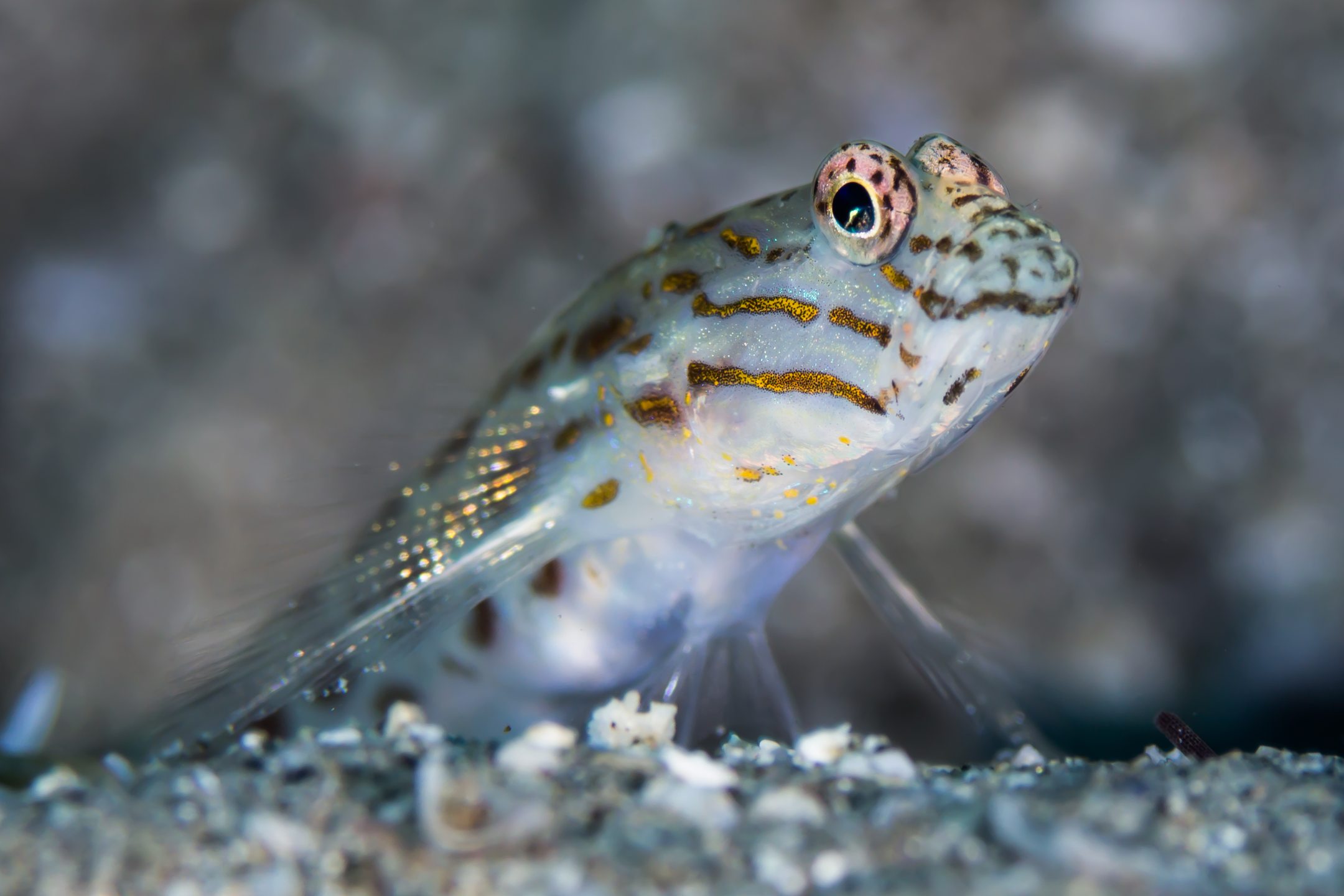 Dive site photo