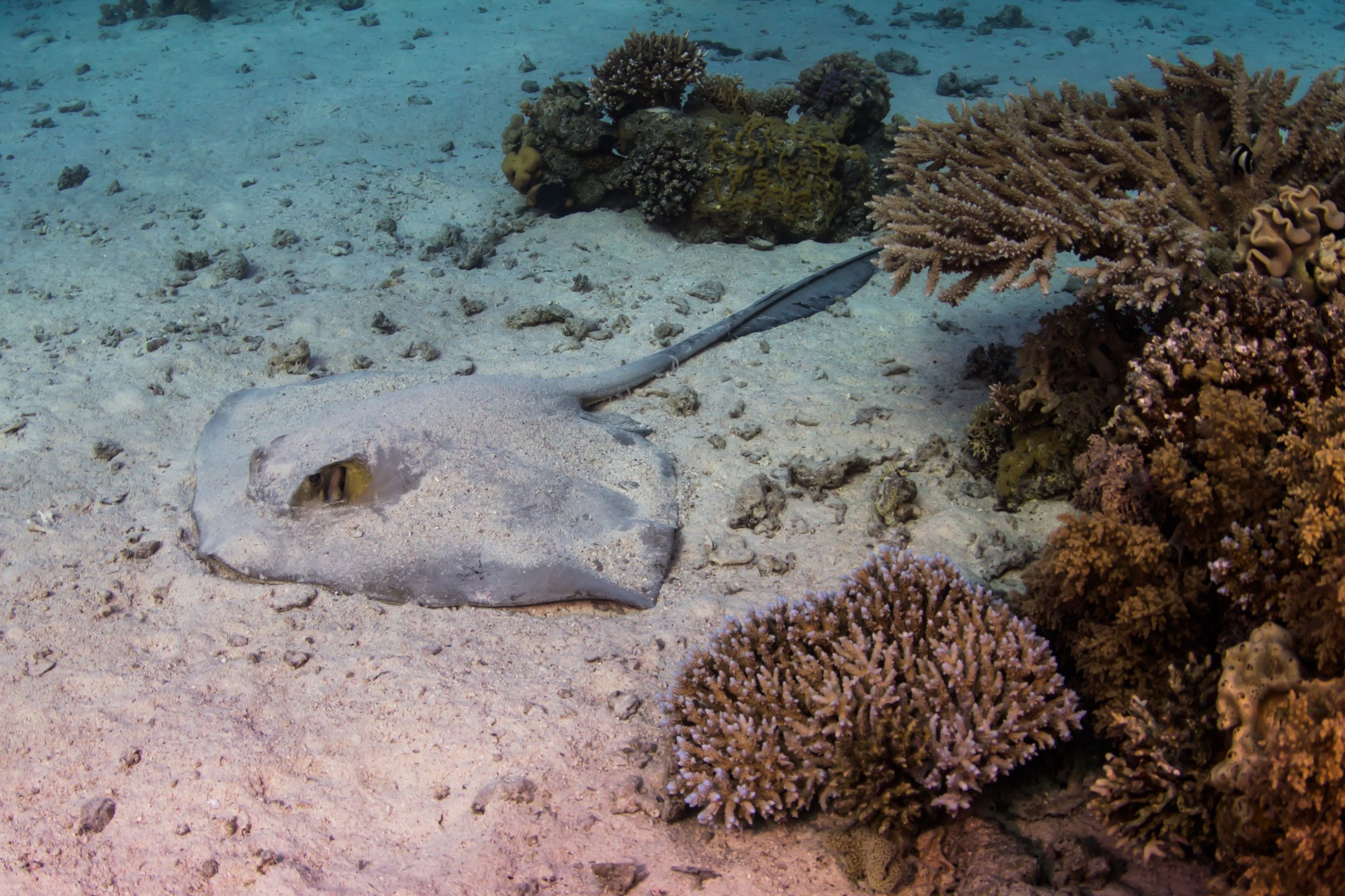 Dive site photo