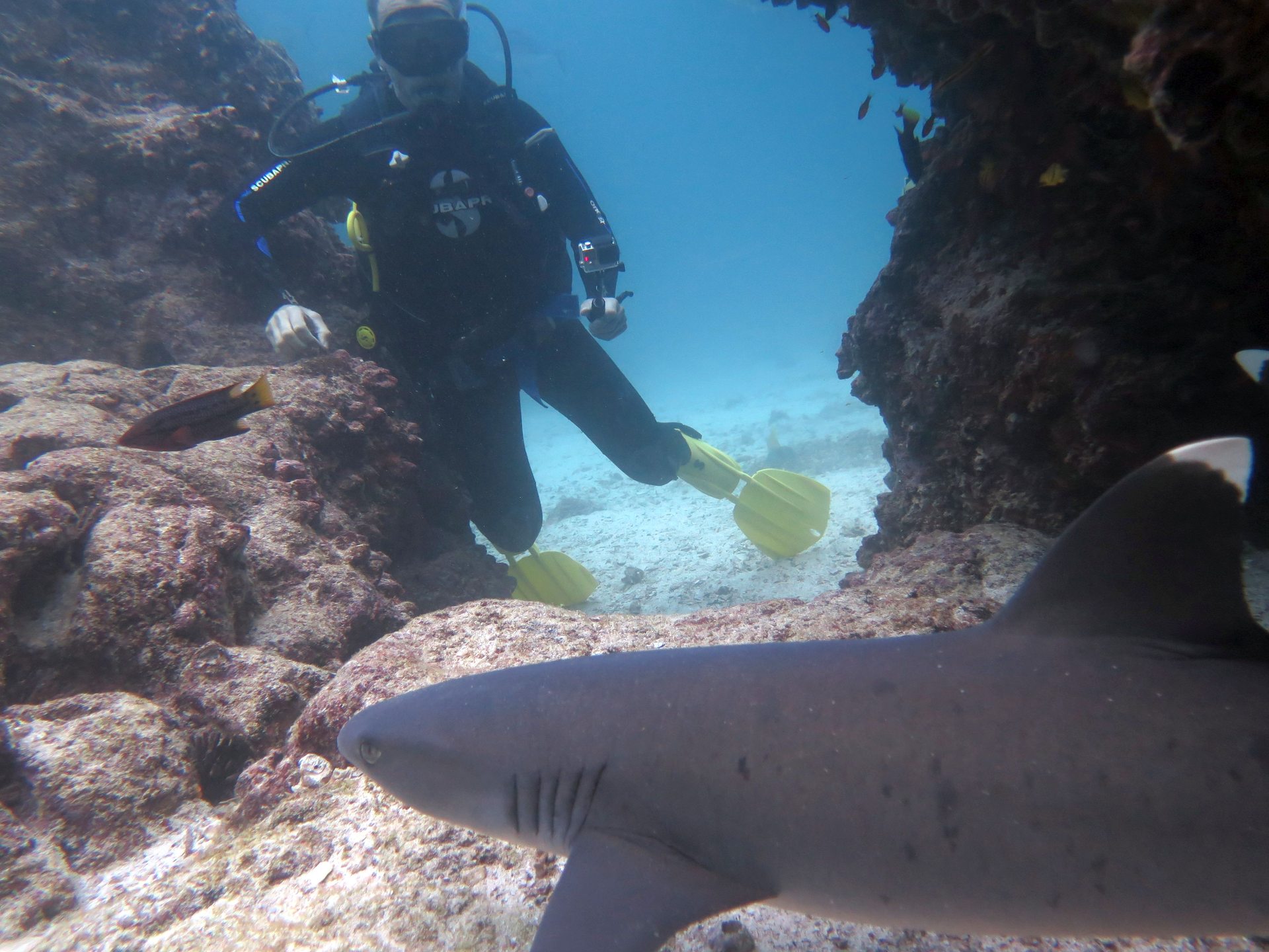 Dive site photo