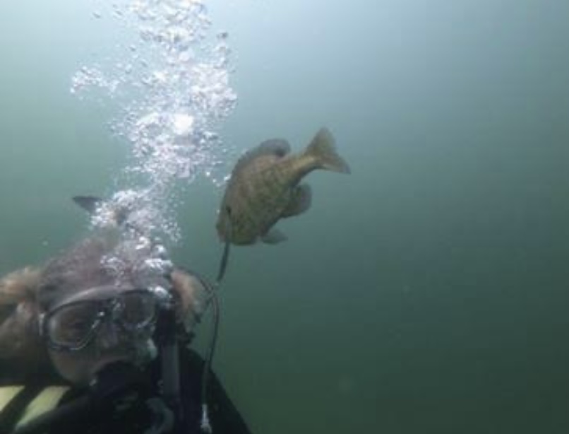 Dive site photo