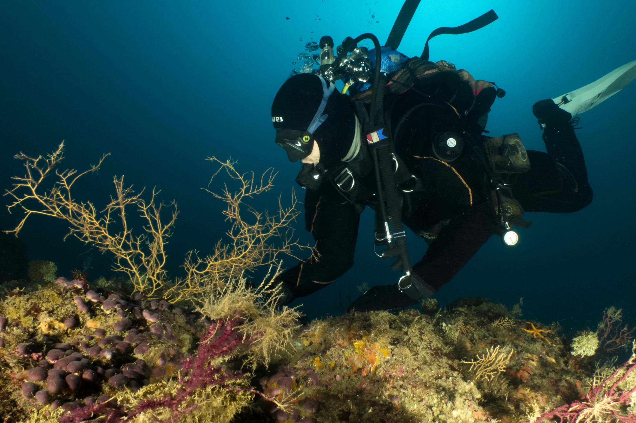 Dive site photo