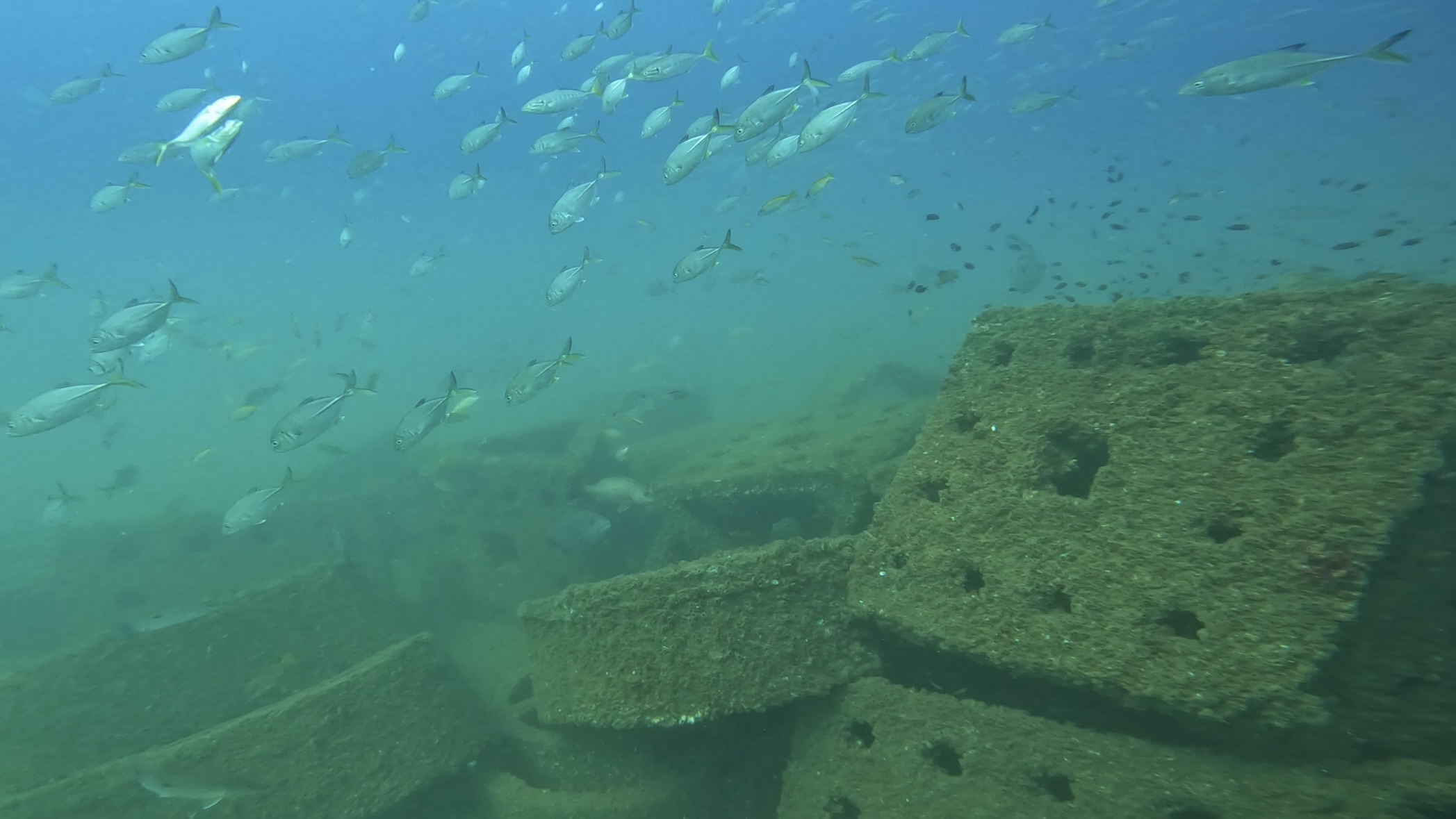 Dive site photo