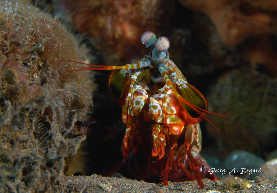 Dive site photo