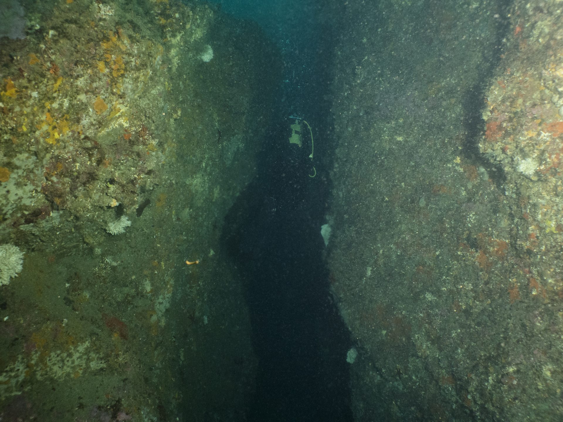 Dive site photo