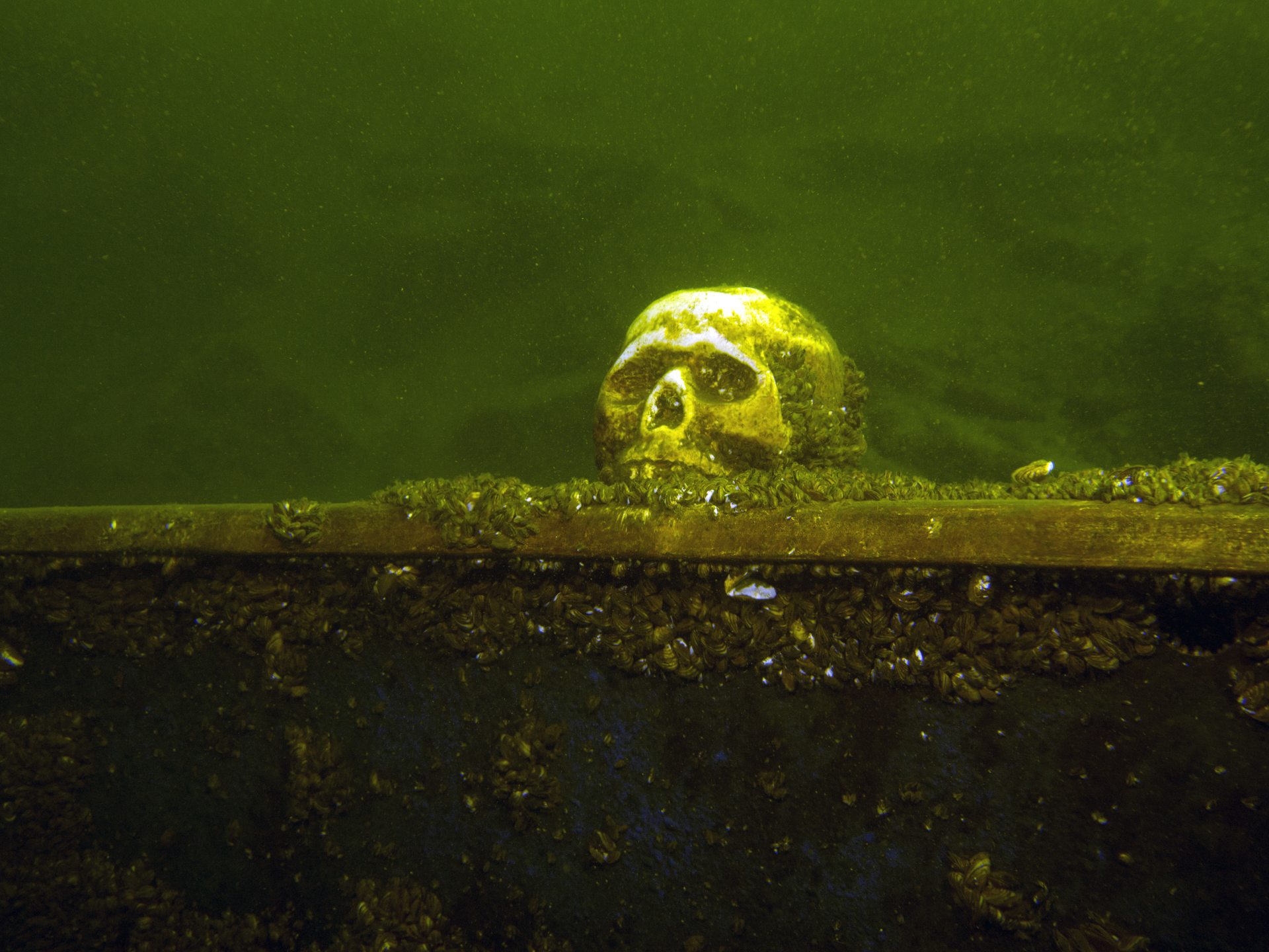 Dive site photo