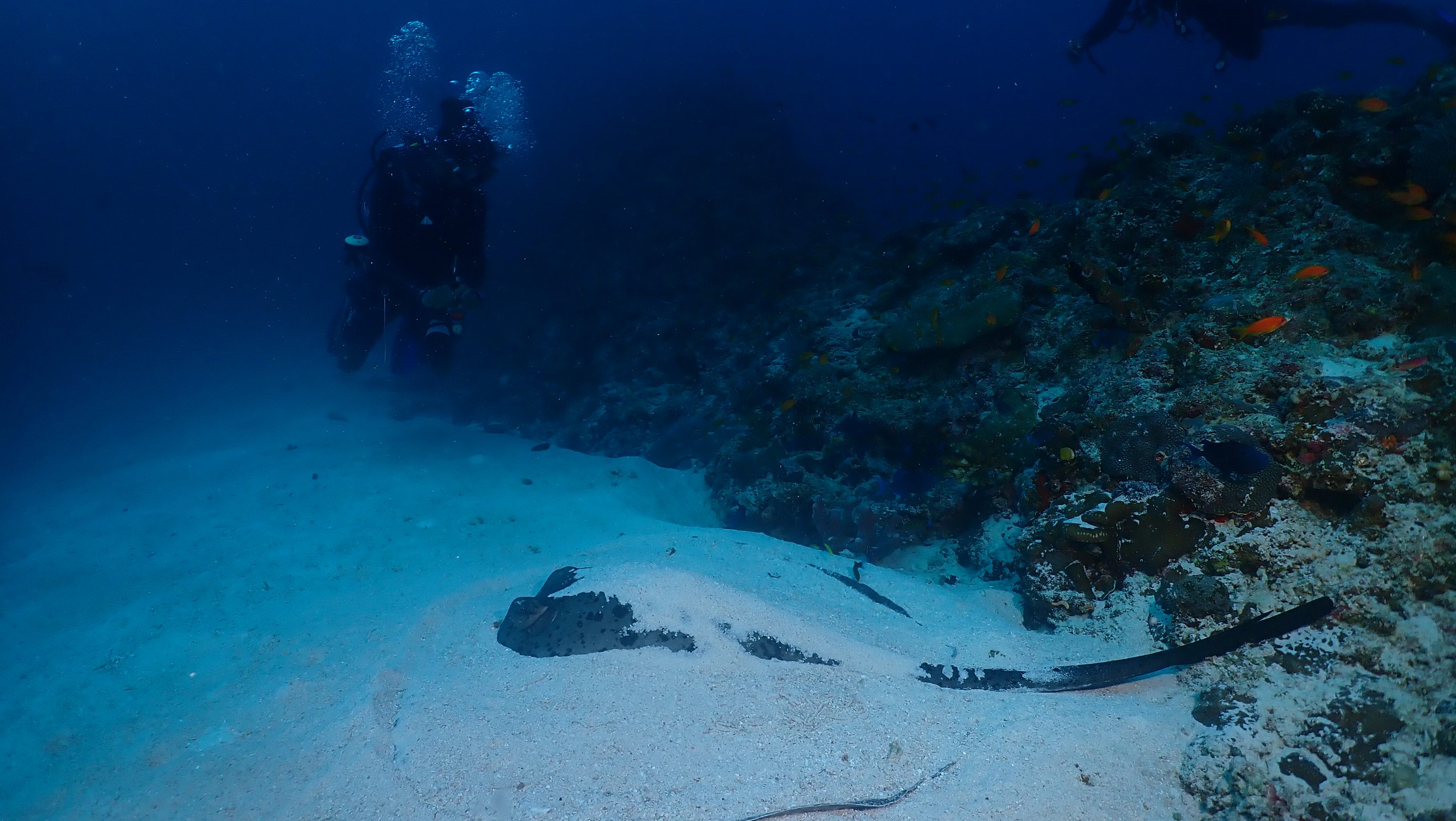 Dive site photo