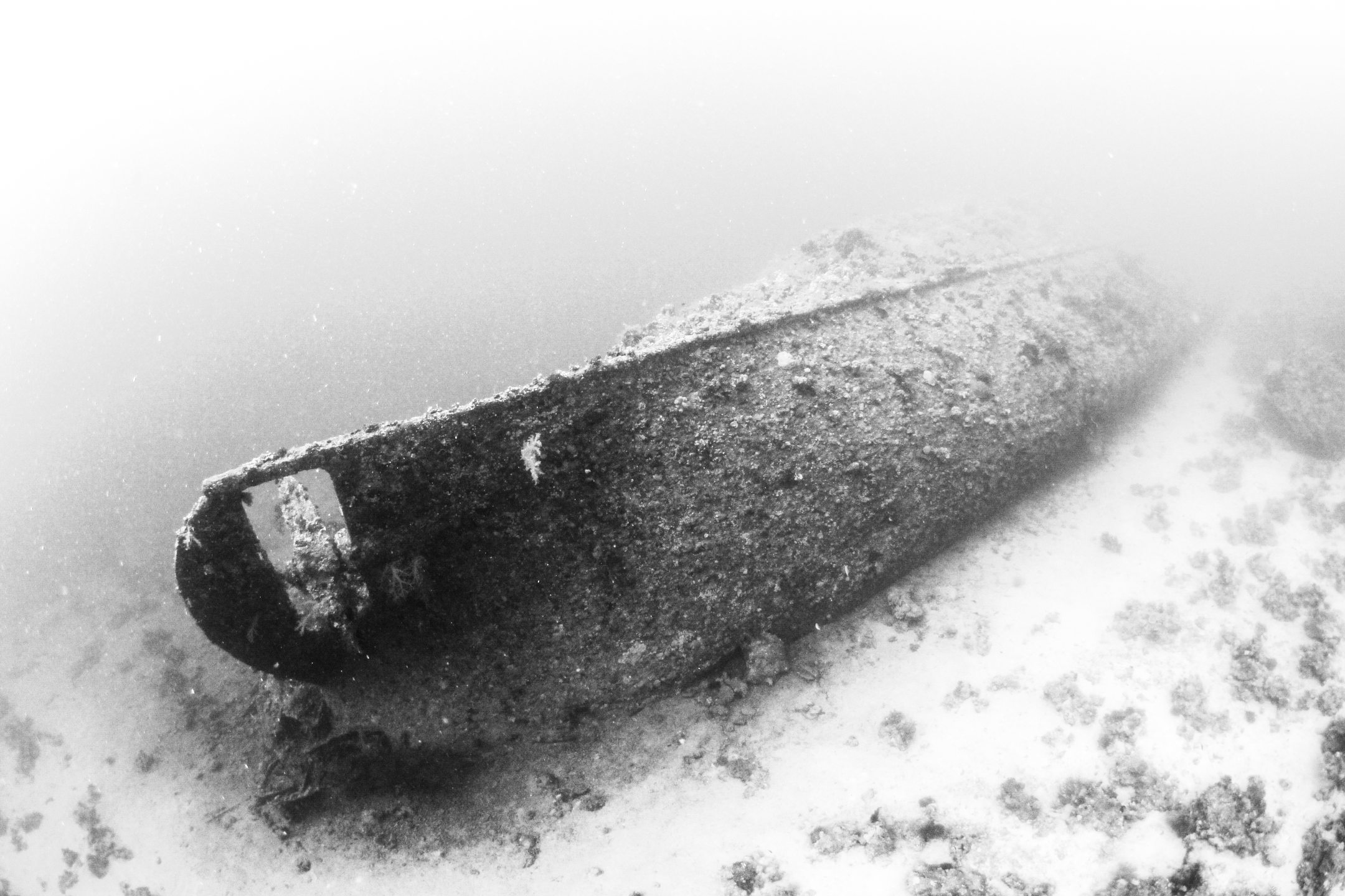 Dive site photo