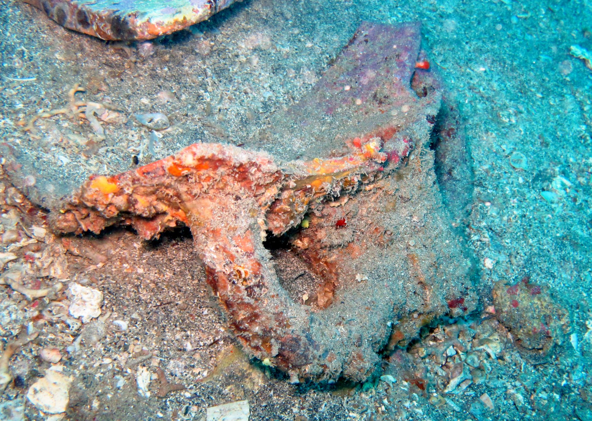 Dive site photo