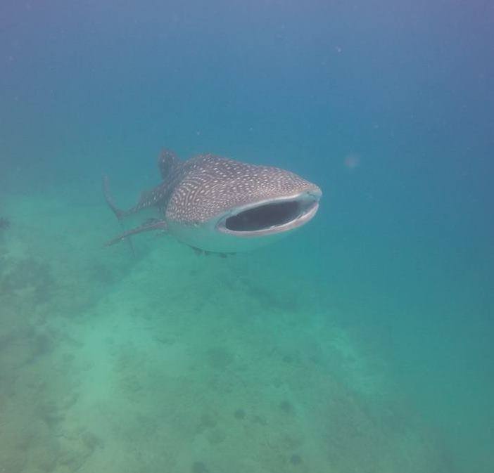 Dive site photo