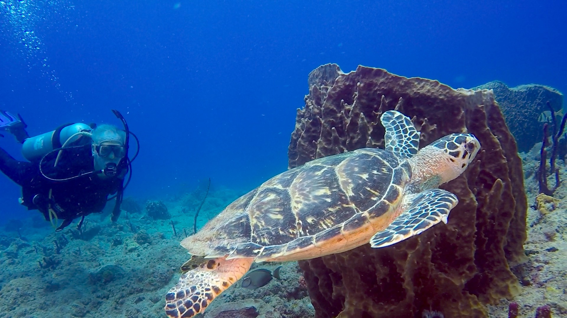 Dive site photo