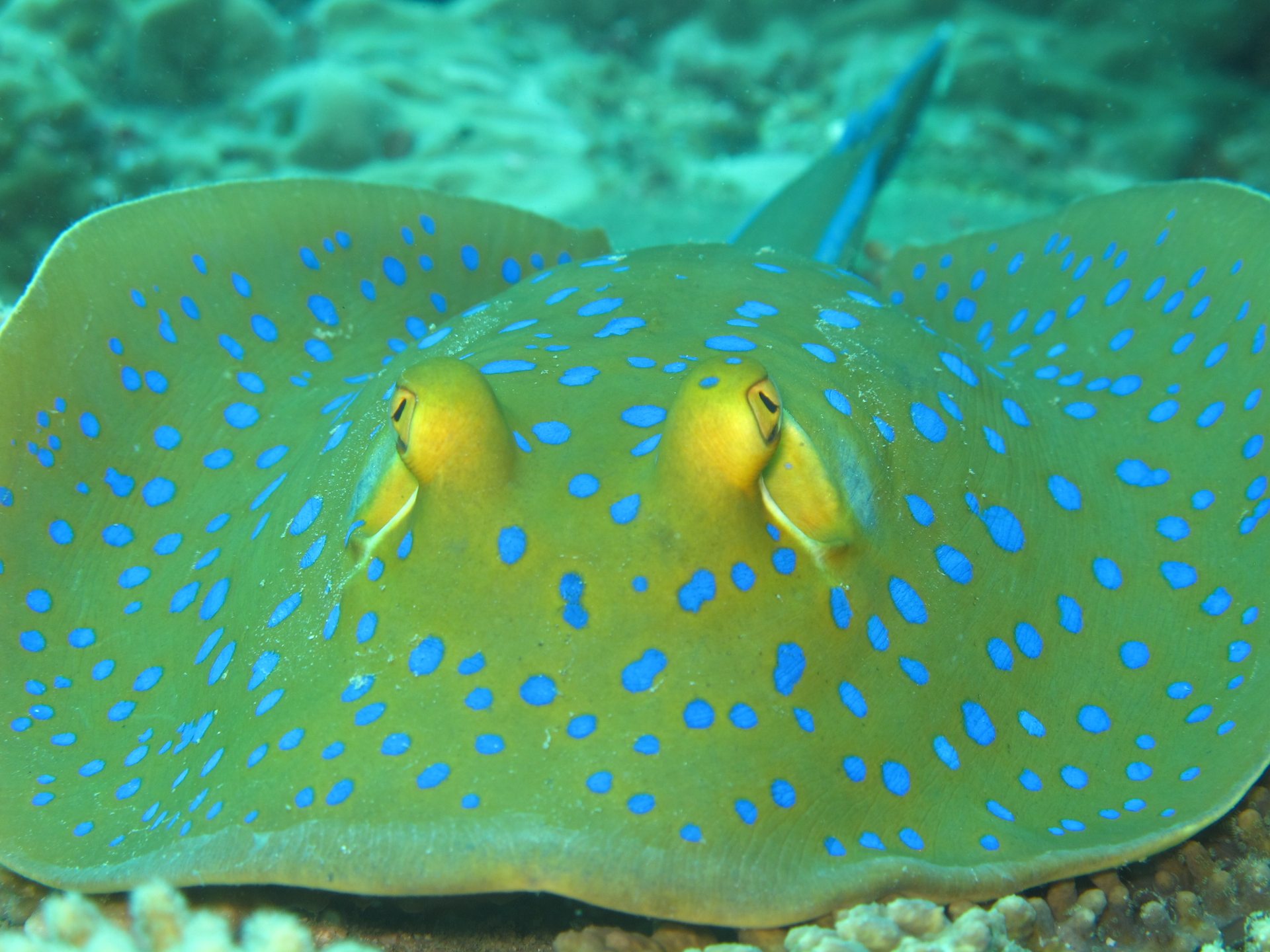 Dive site photo