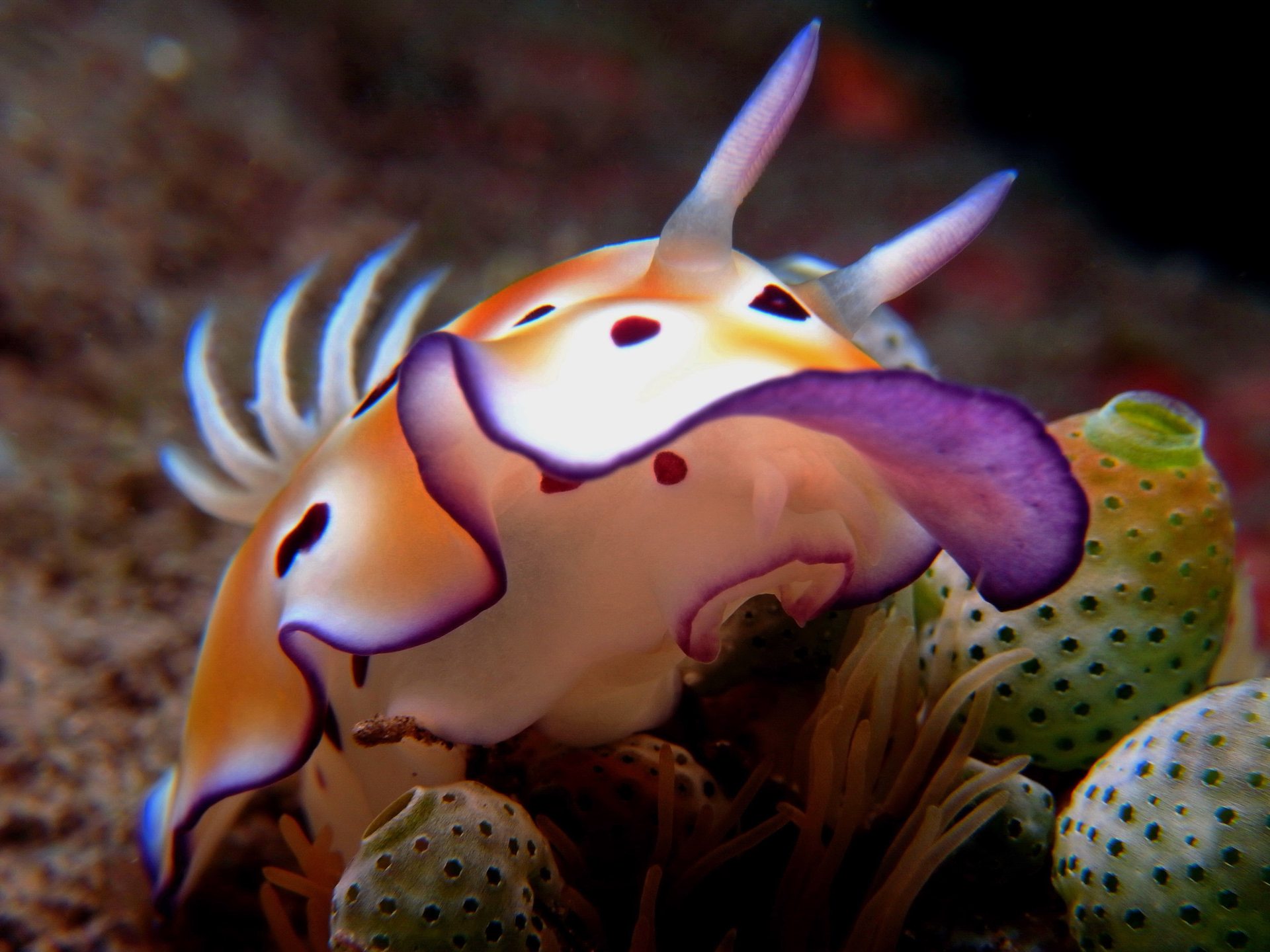 Dive site photo