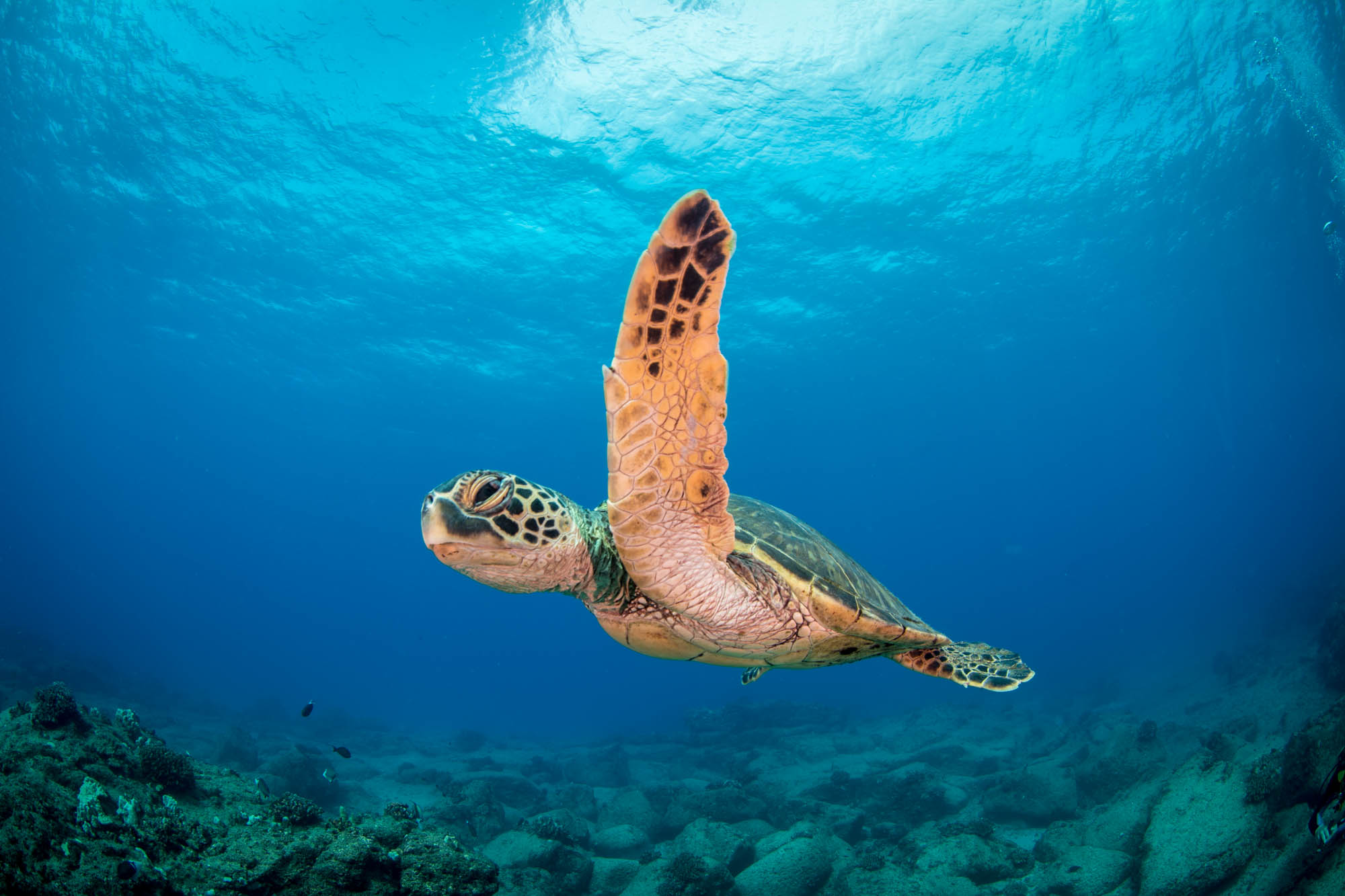 Dive site photo