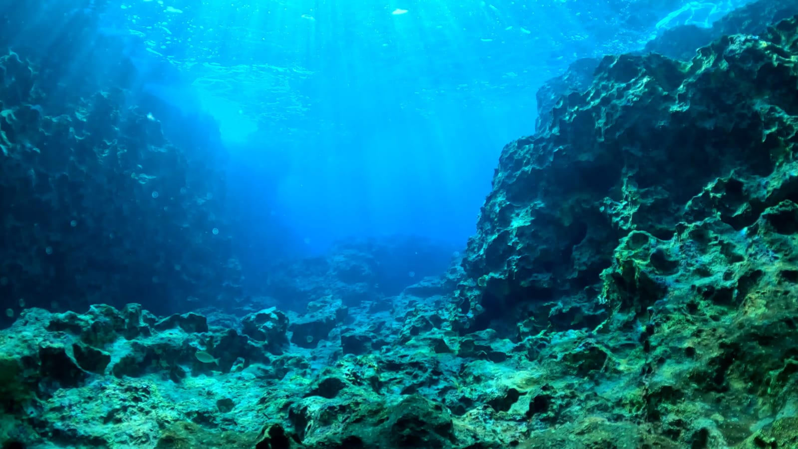 Dive site photo