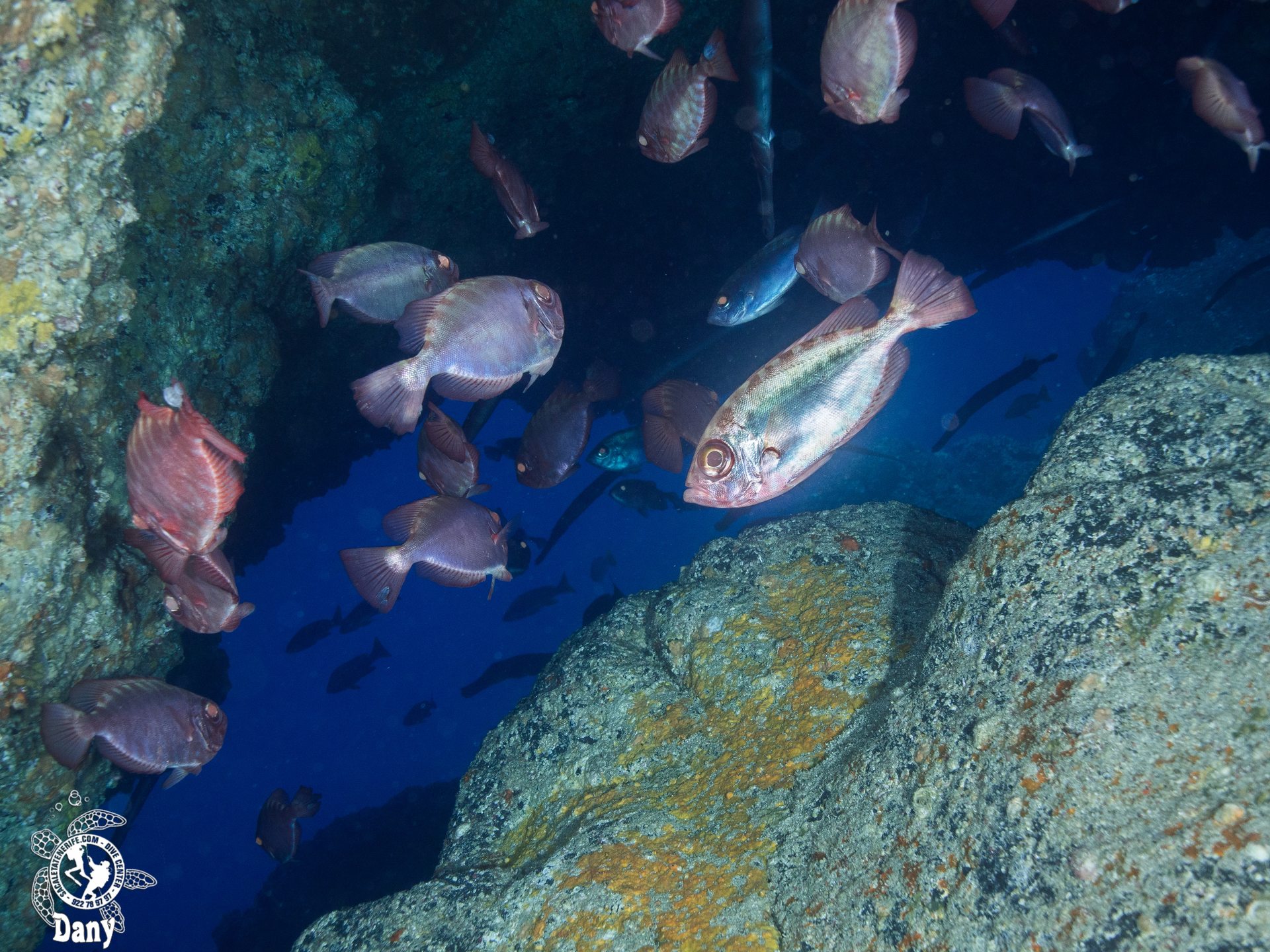 Dive site photo