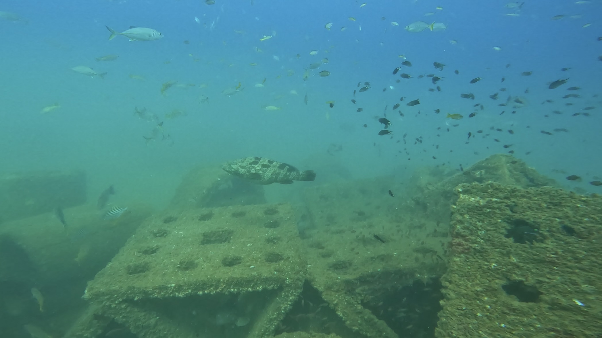 Dive site photo
