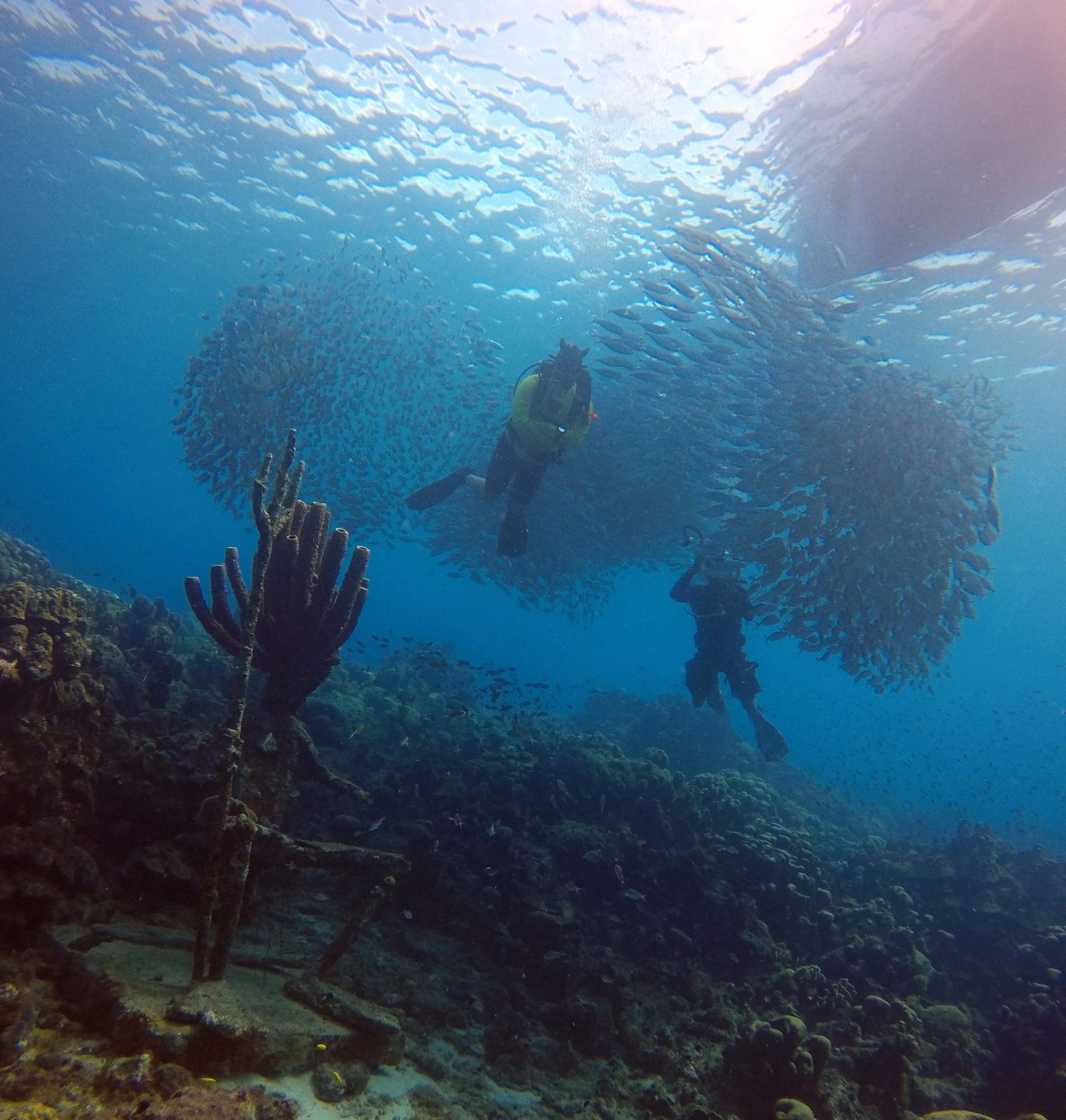 Dive site photo