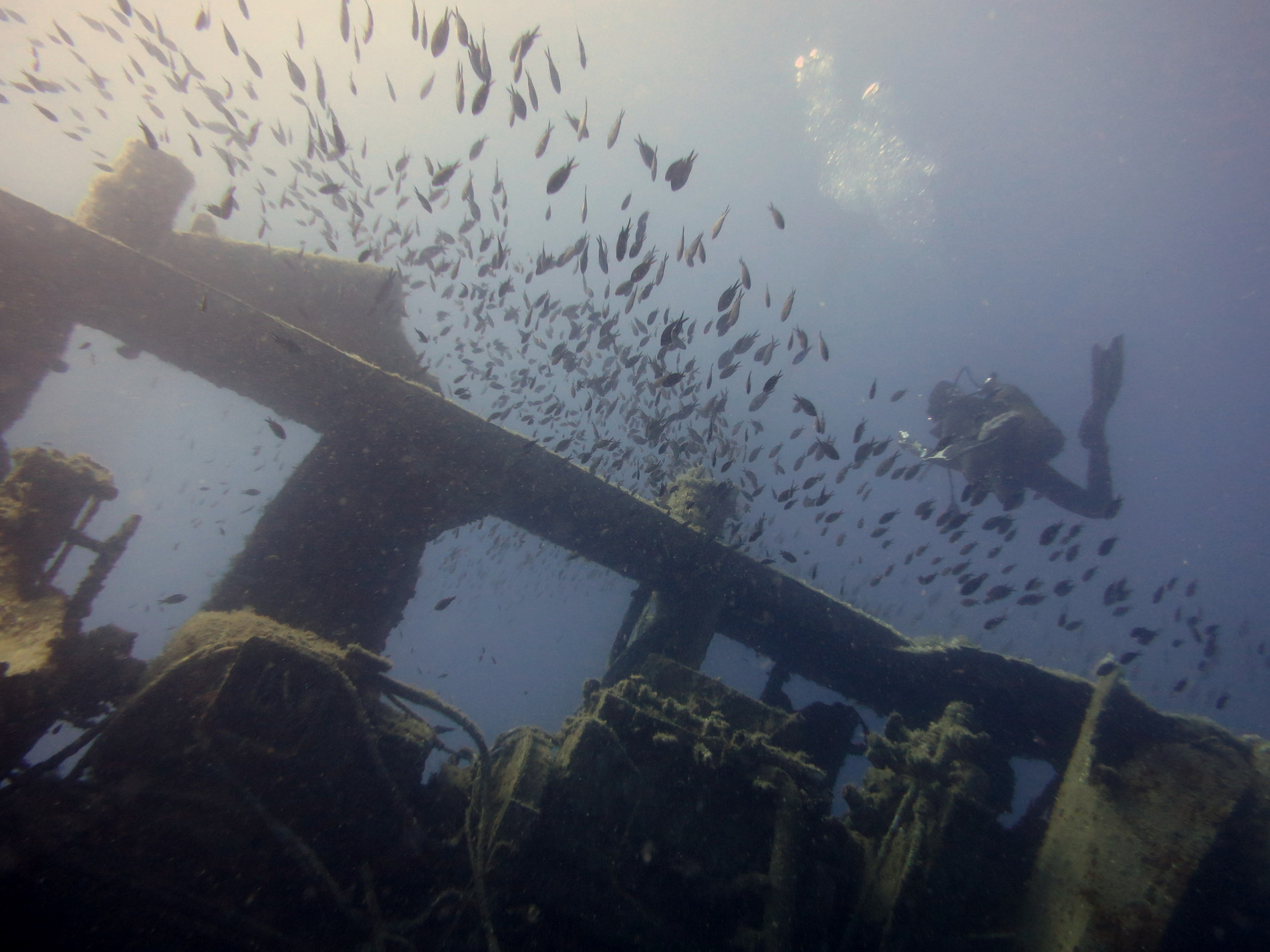 Dive site photo