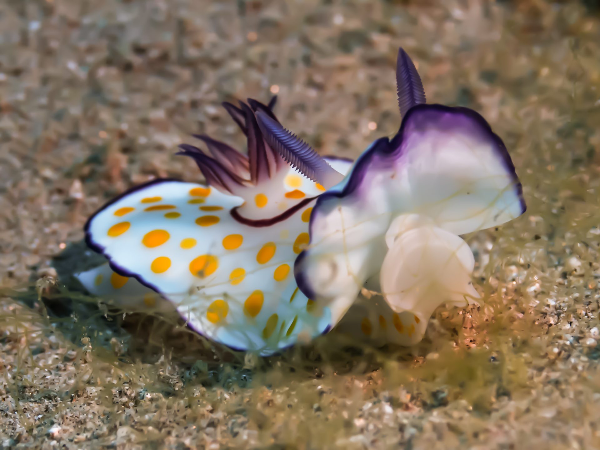 Dive site photo
