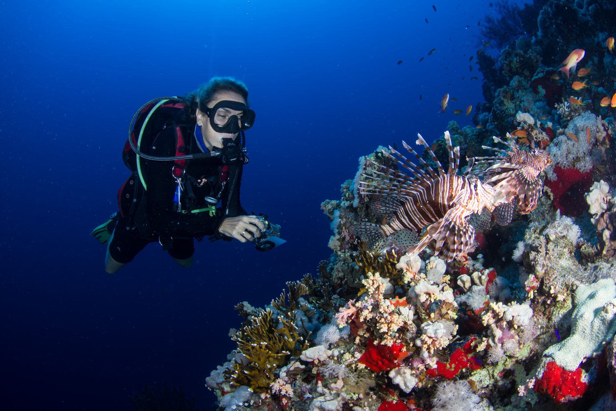 Dive site photo