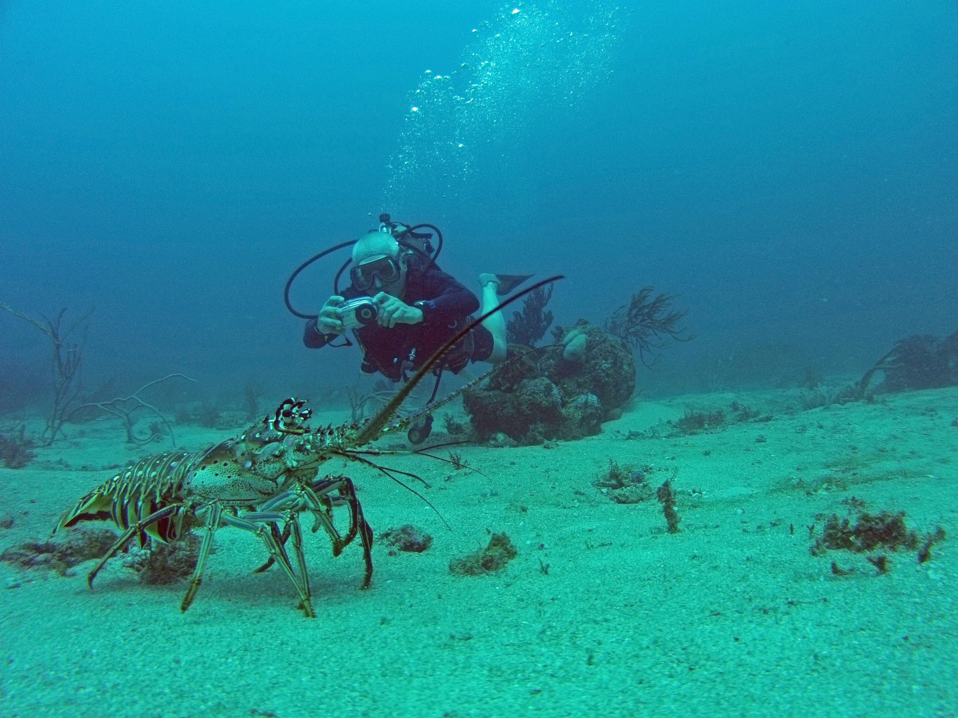 Dive site photo