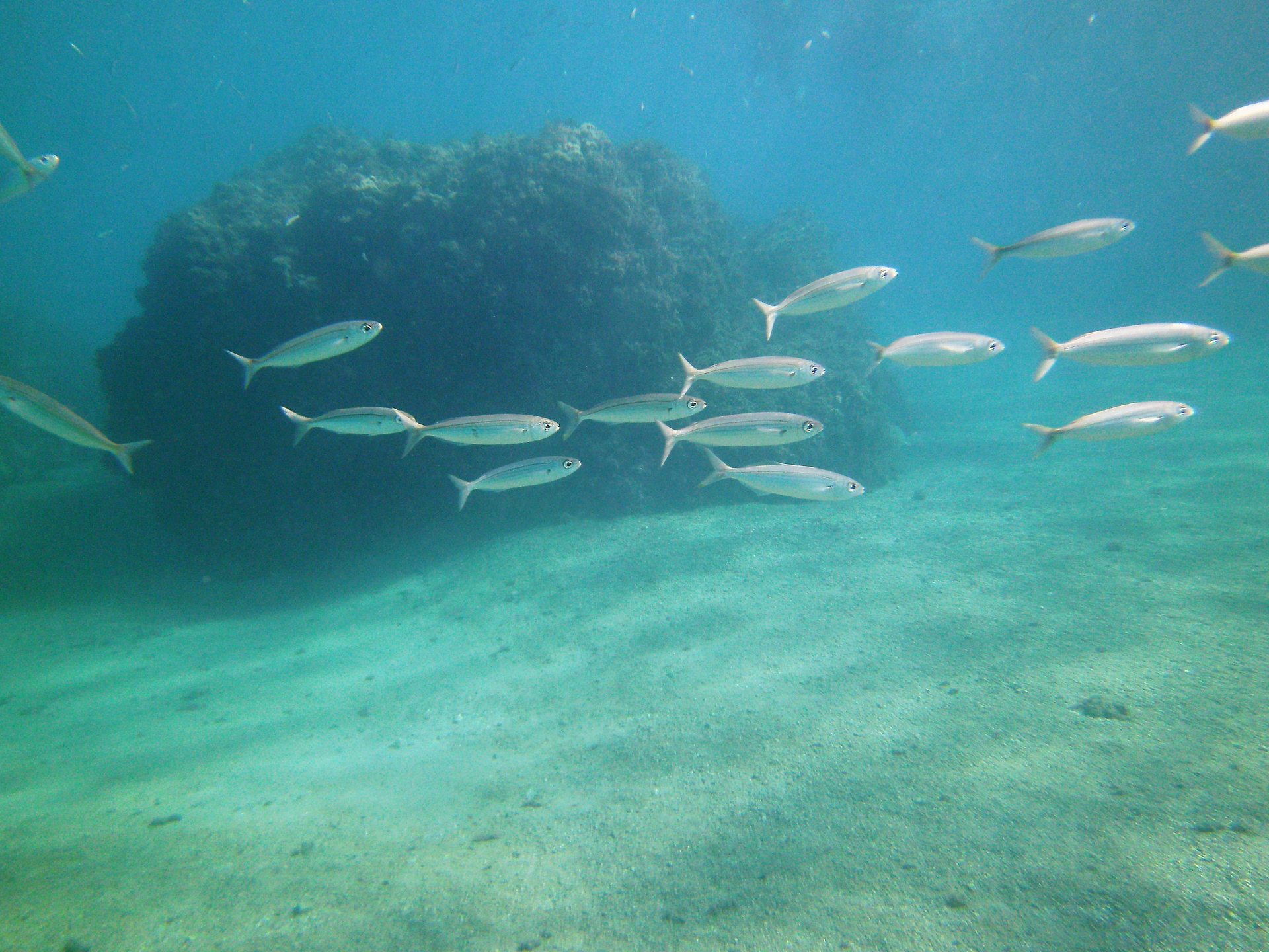 Dive site photo