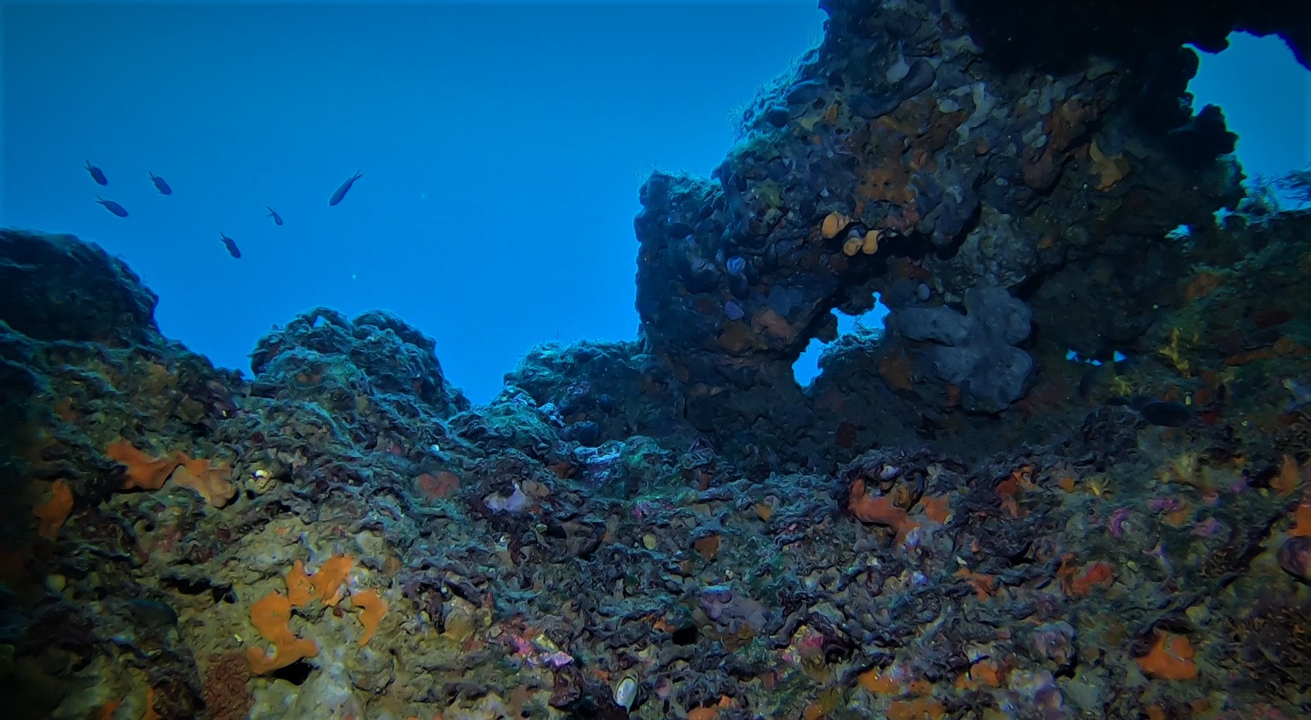 MARIE GROTA CAVE/CLIFF