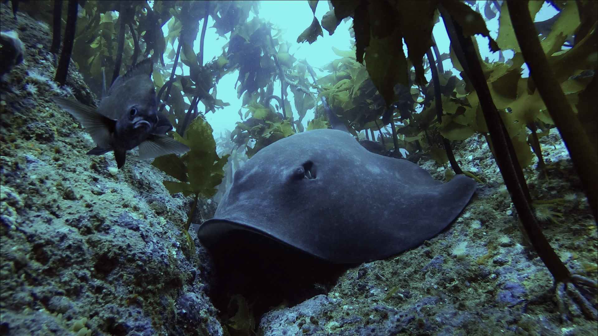Dive site photo